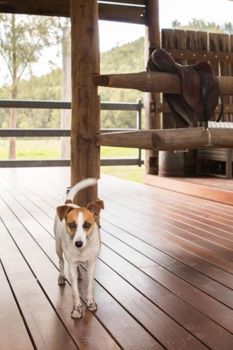 Riverlea Stables- style and charm await you!