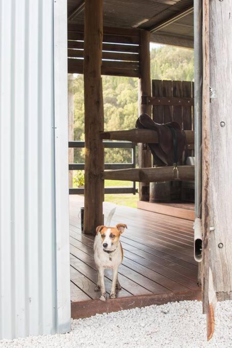 Riverlea Stables- style and charm await you!