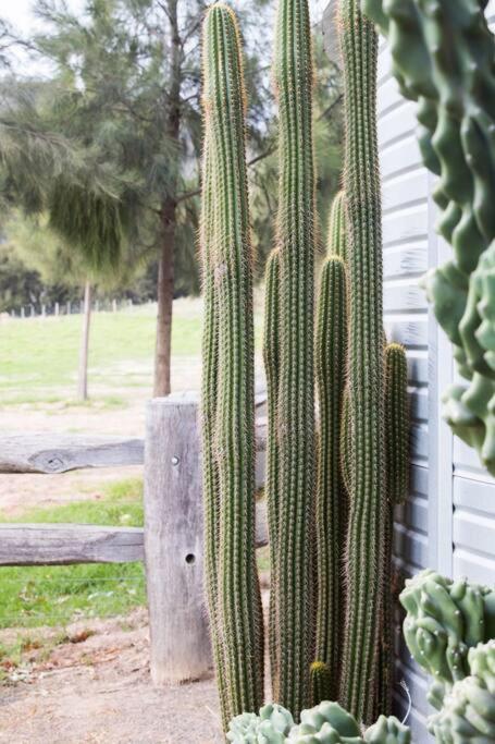 Riverlea Stables- style and charm await you!