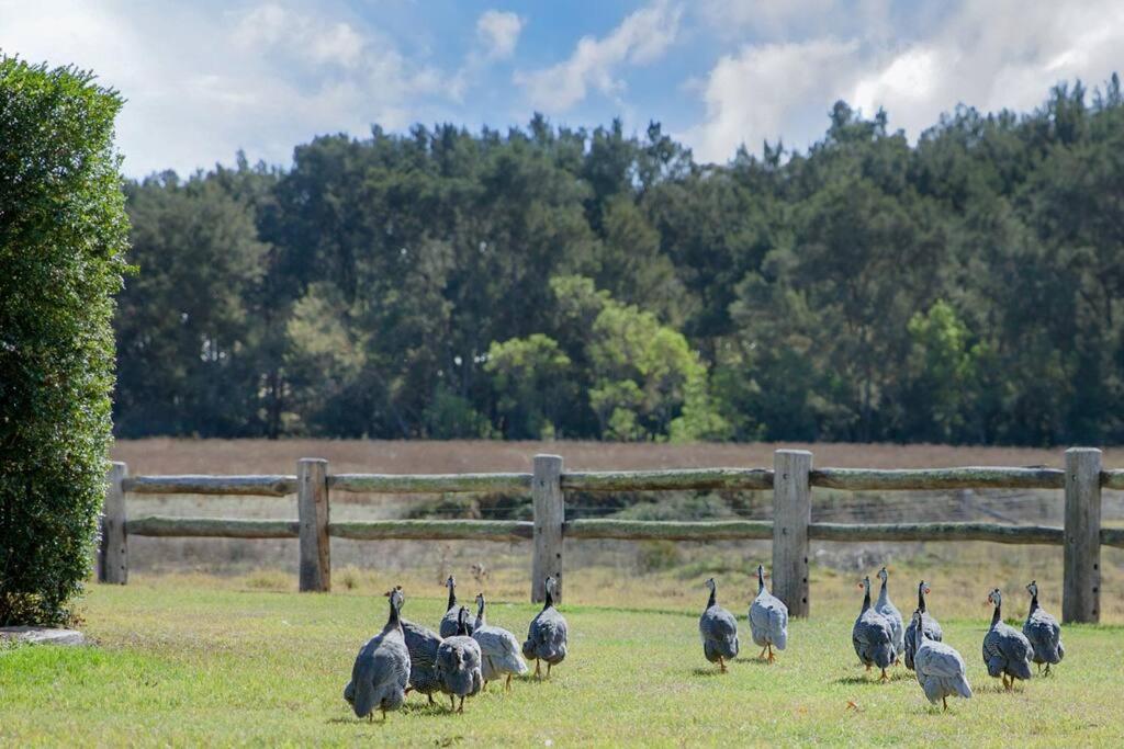 Riverlea Stables- style and charm await you!