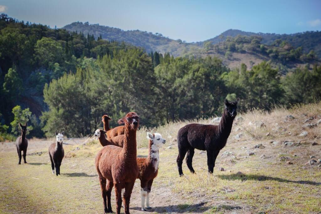 Riverlea Stables- style and charm await you!