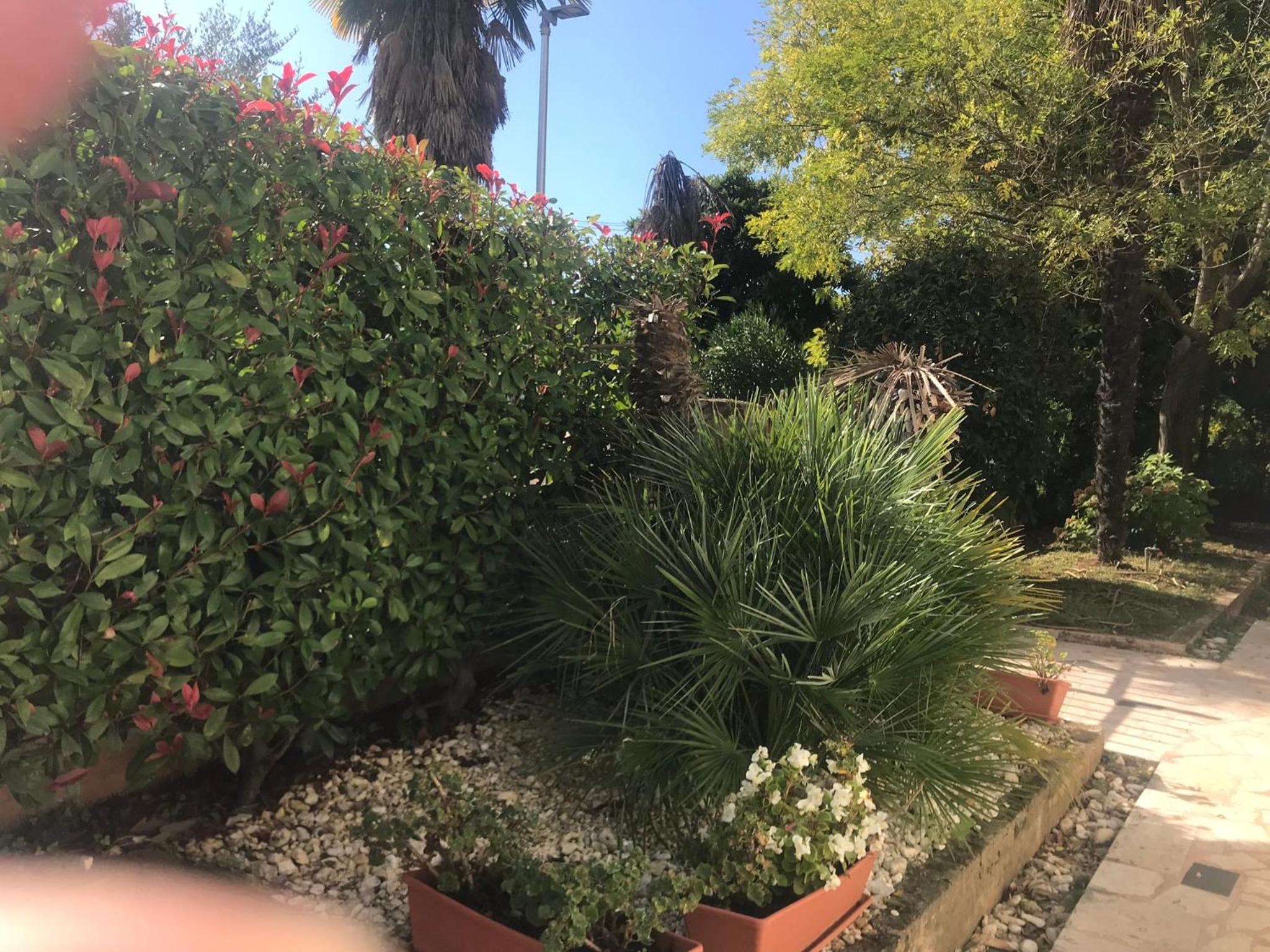 Photo 27