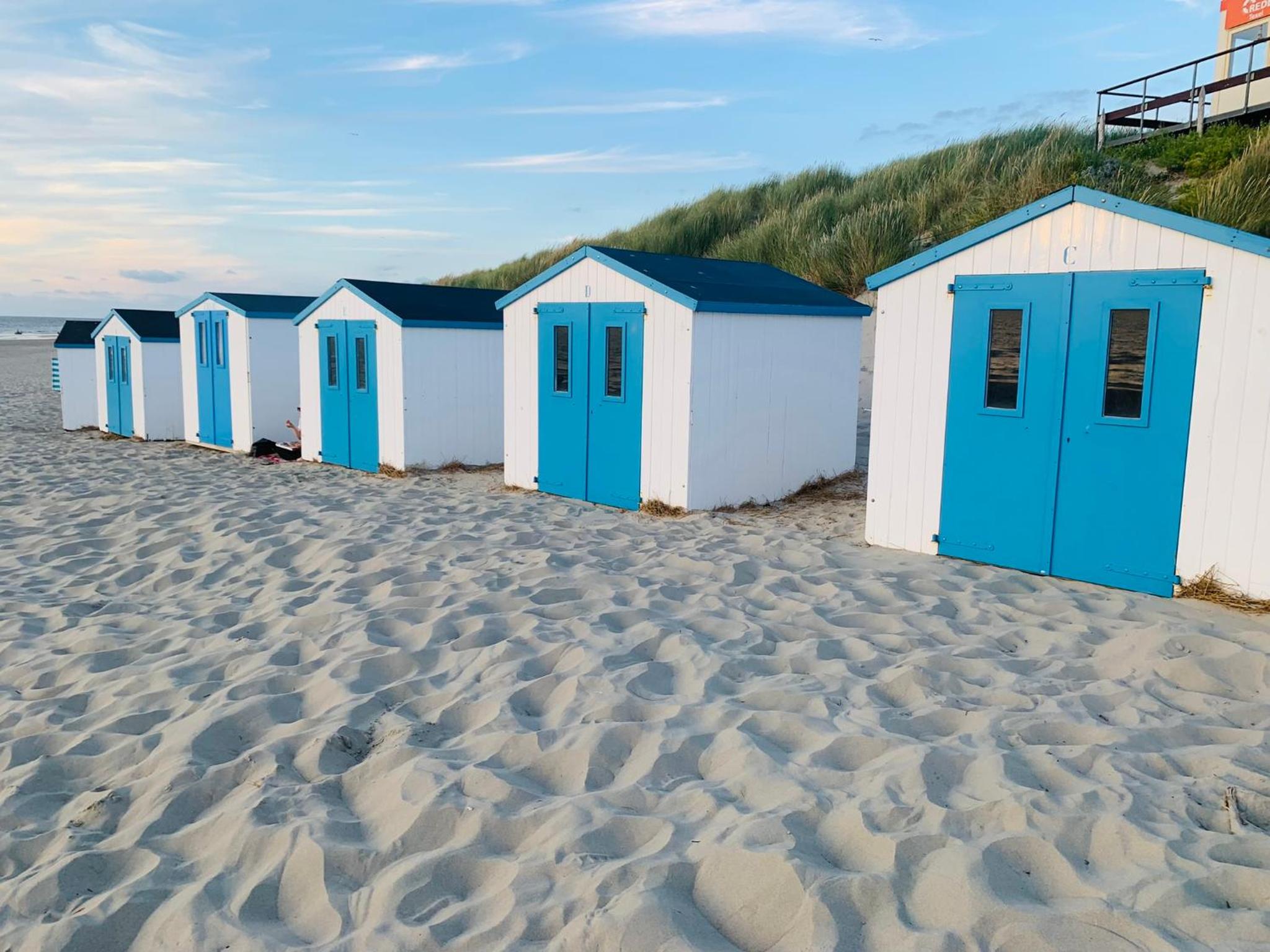 Balsemientexel