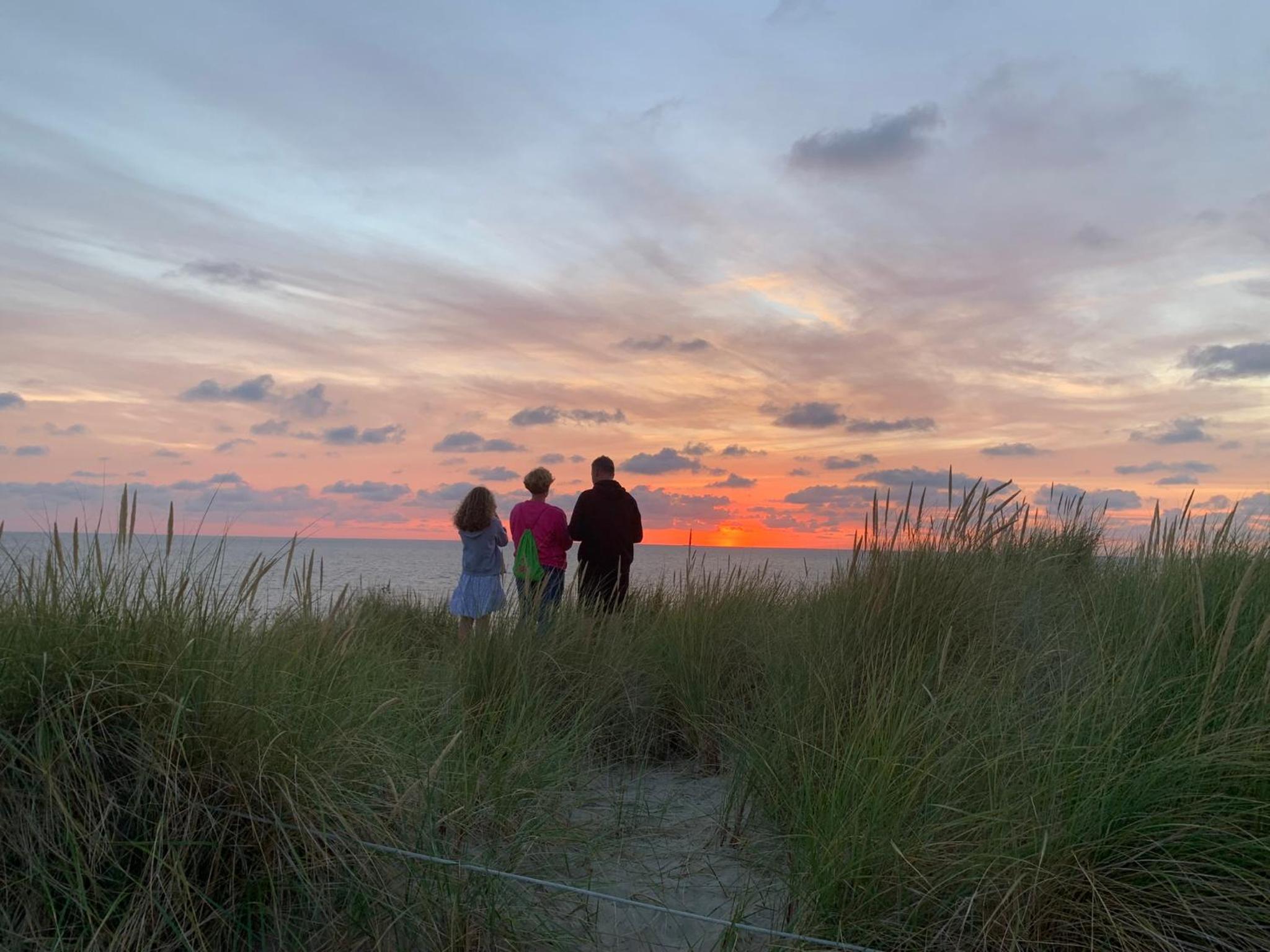 Balsemientexel