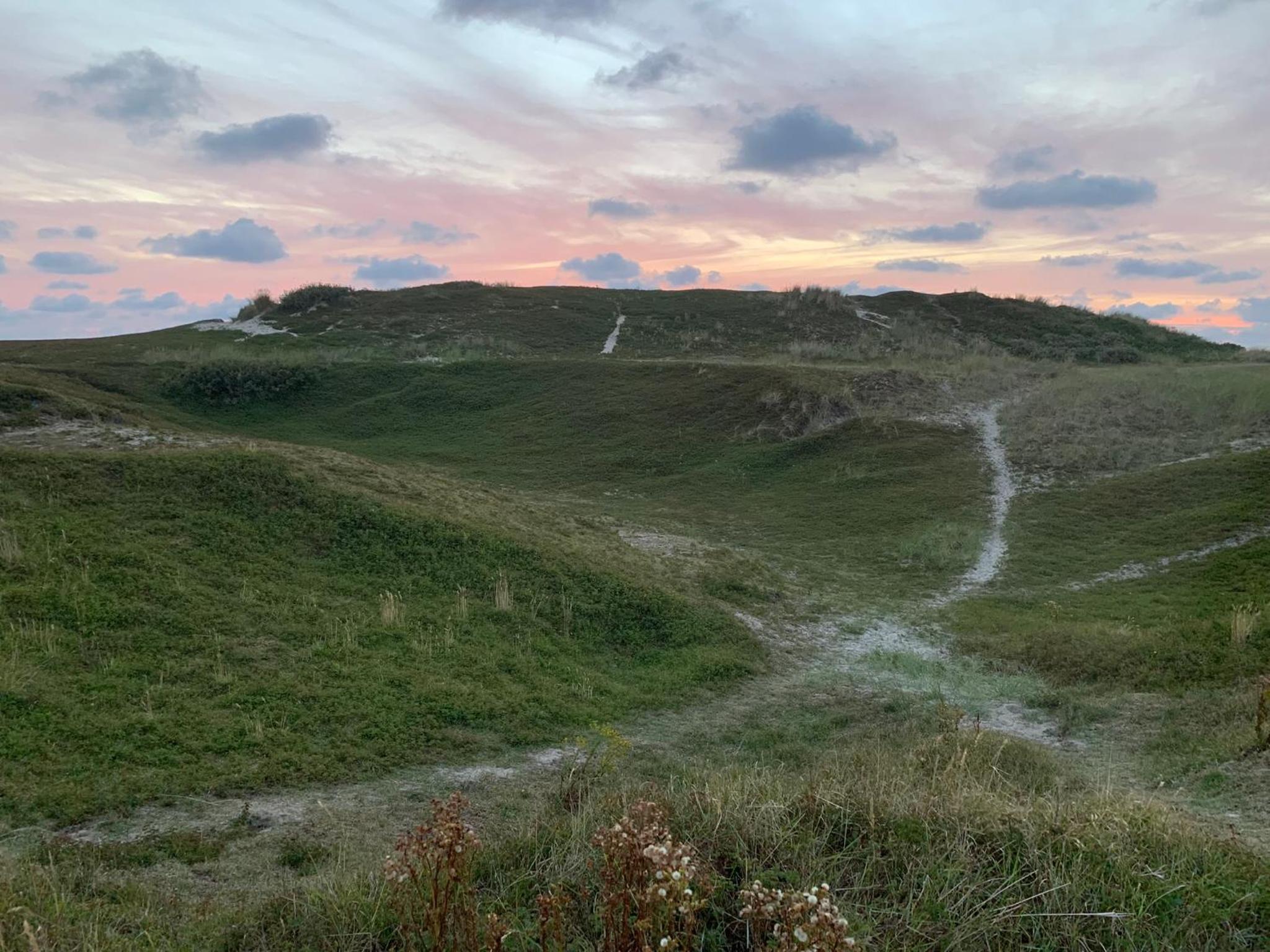 Balsemientexel