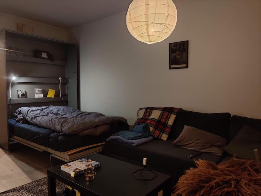 Spacious and cozy studio apartment with balcony view 2