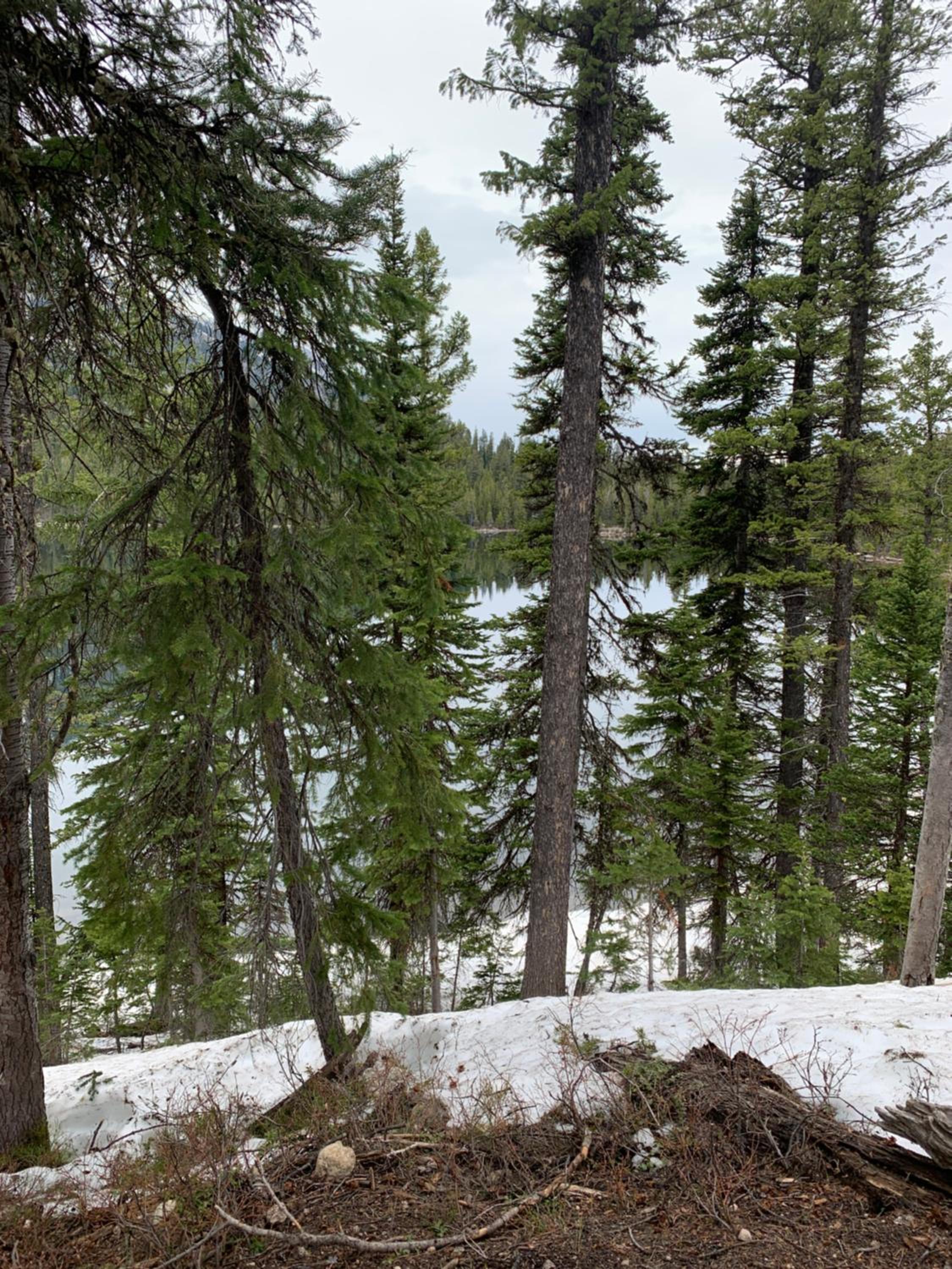 Photo 43