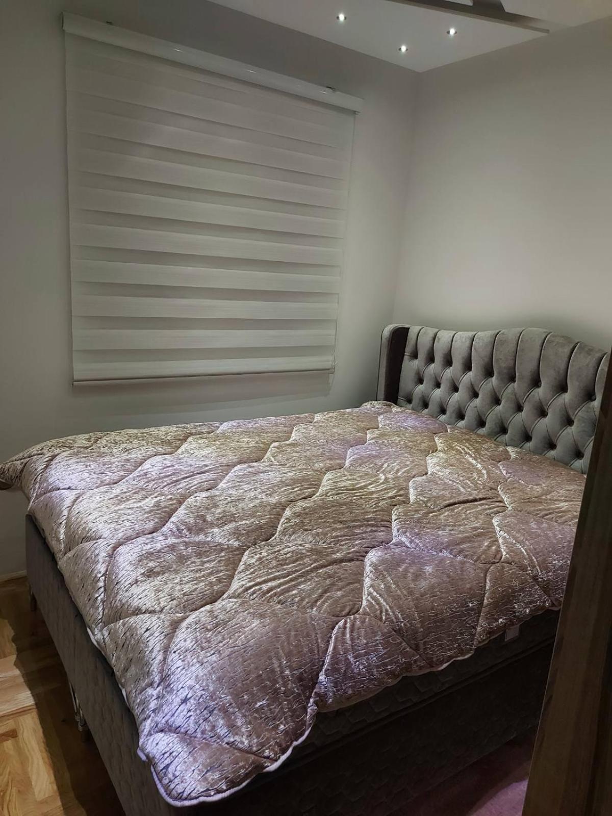 Apartman VUČKO