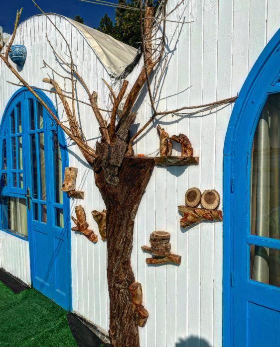 Dream house