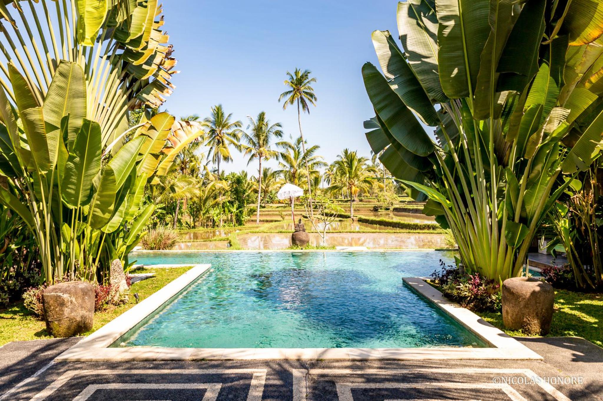 Hati Padi Cottages