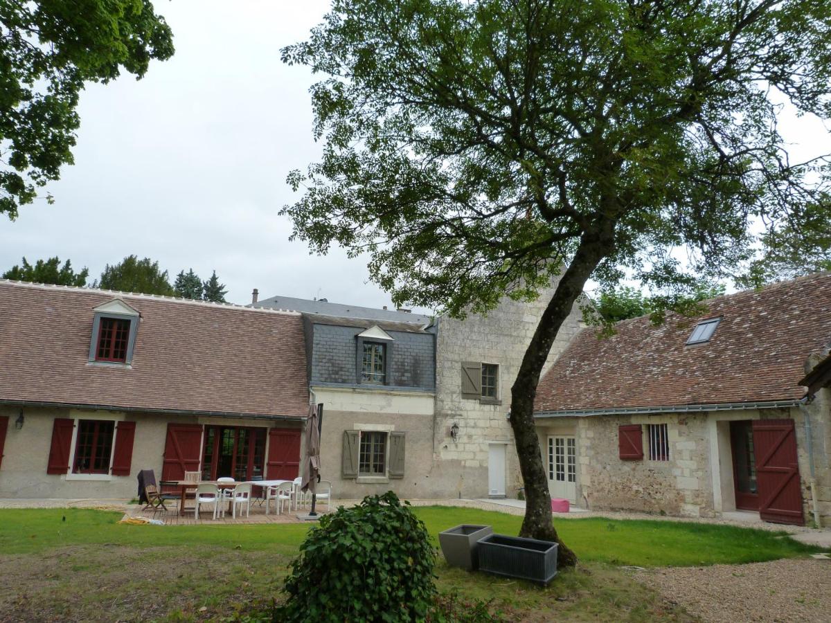 Photo 15