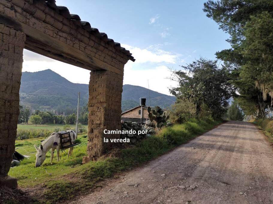 Naturaleza, Descanso y Fogata, Casa de Campo Romeros