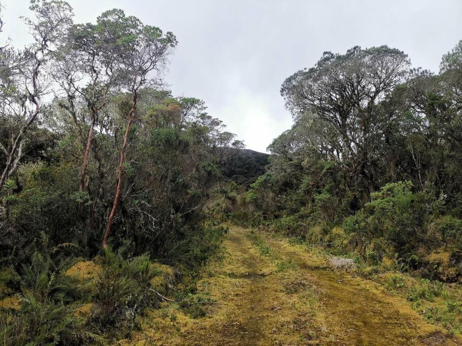 Naturaleza, Descanso y Fogata, Casa de Campo Romeros