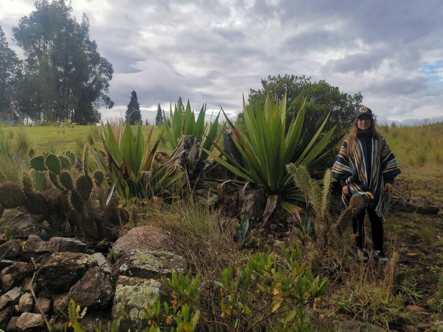 Fogata Naturaleza y Descanso, Casa de Campo Eucaliptos