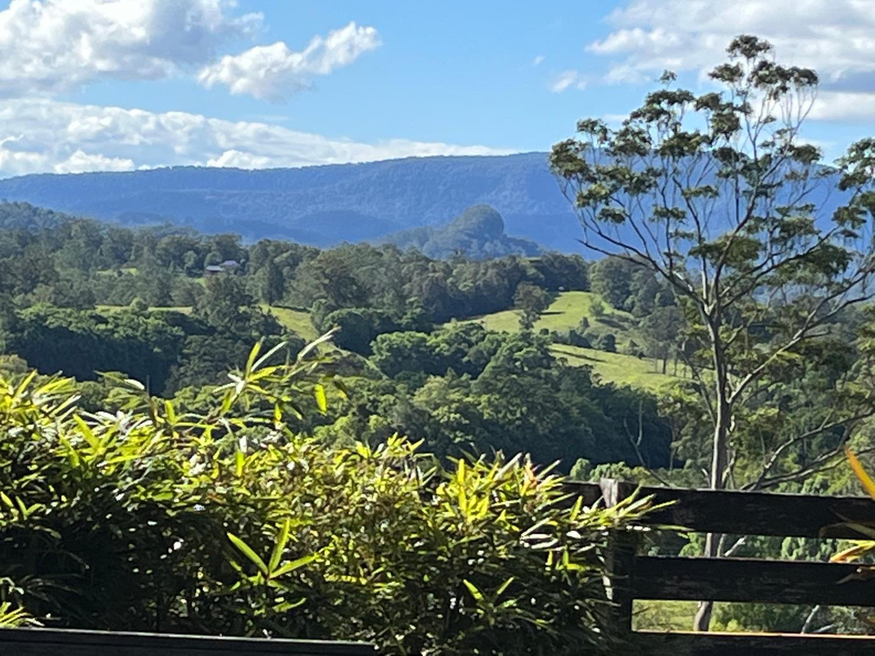 Grey Gum Lodge