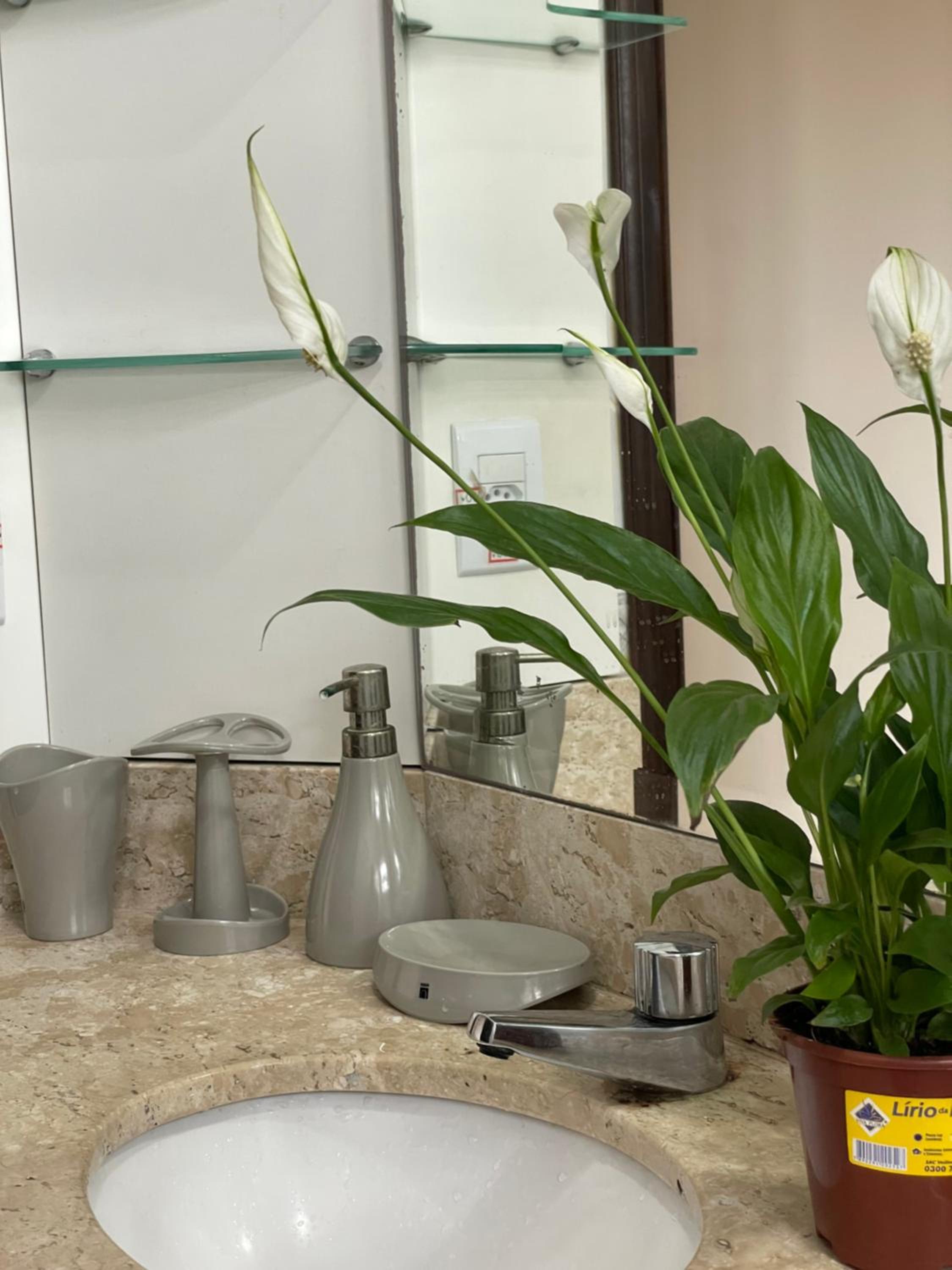 Apartamento Maravilhoso