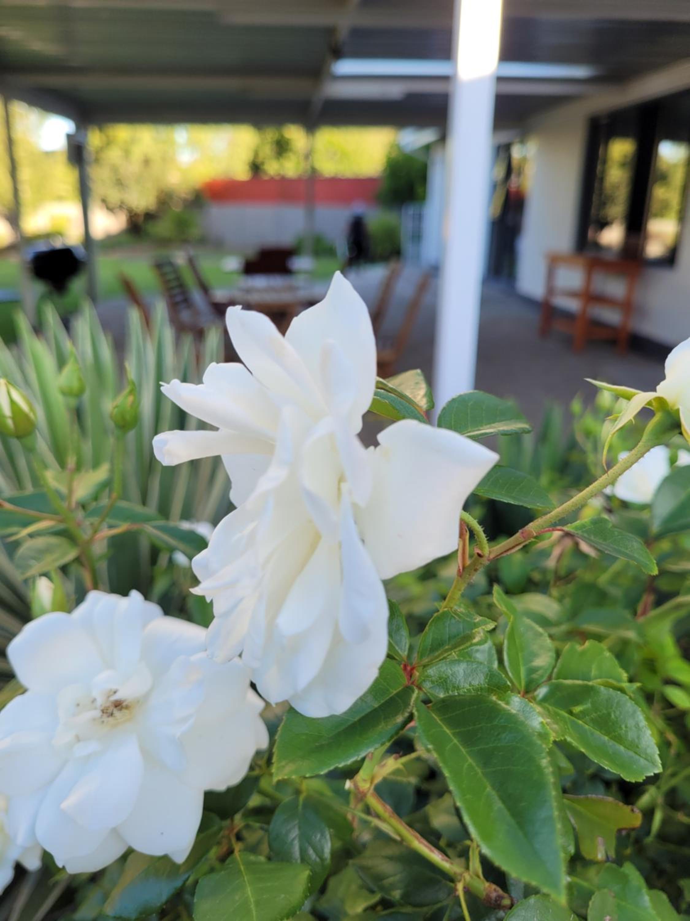 Ayana bnb, photo 37