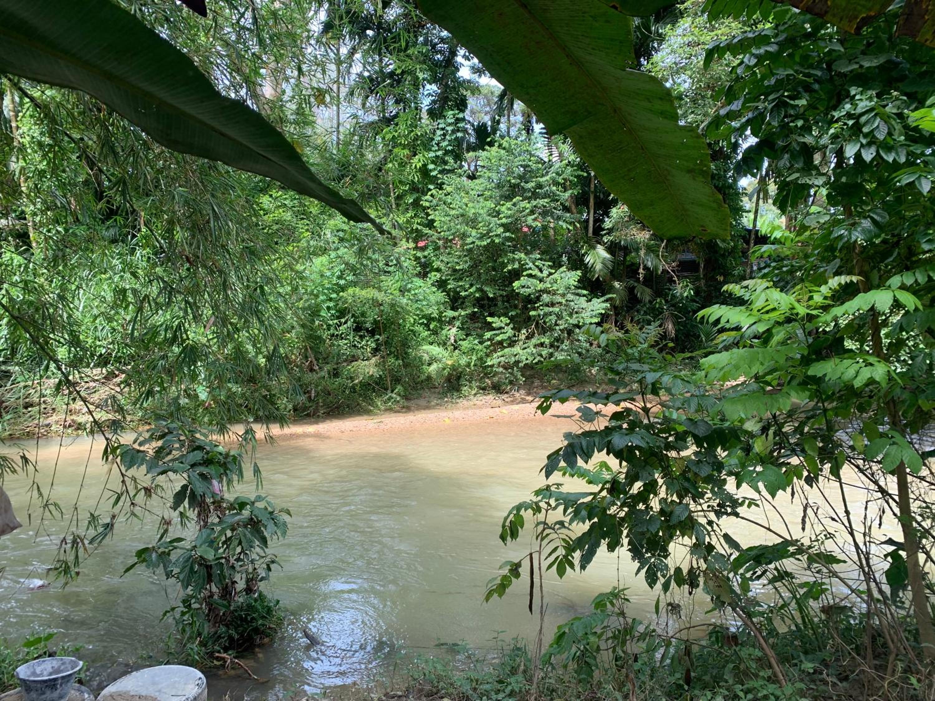 Damai Homestay