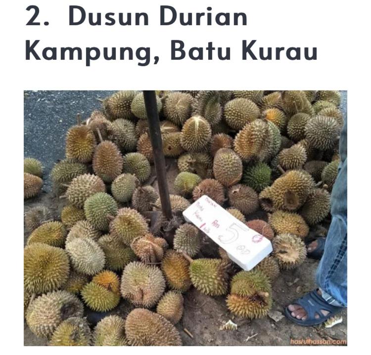 Damai Homestay