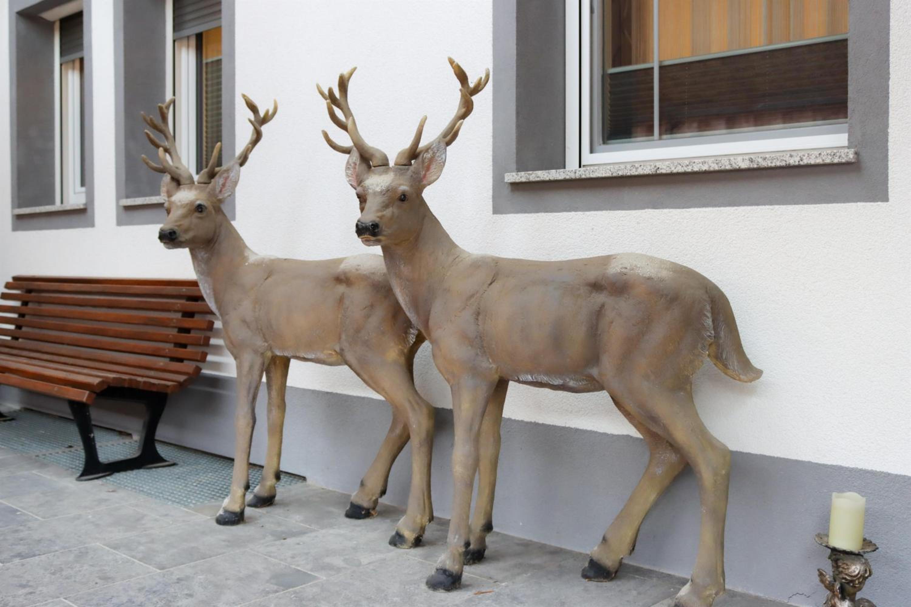 Ferienwohnung am Waldweg
