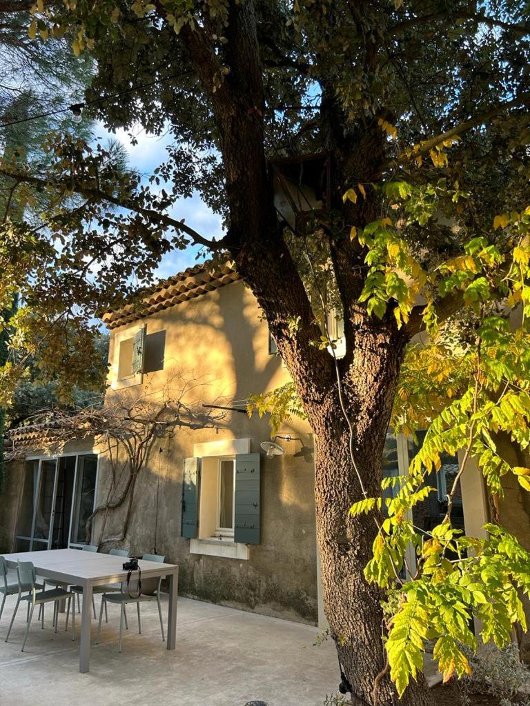 Photo 19