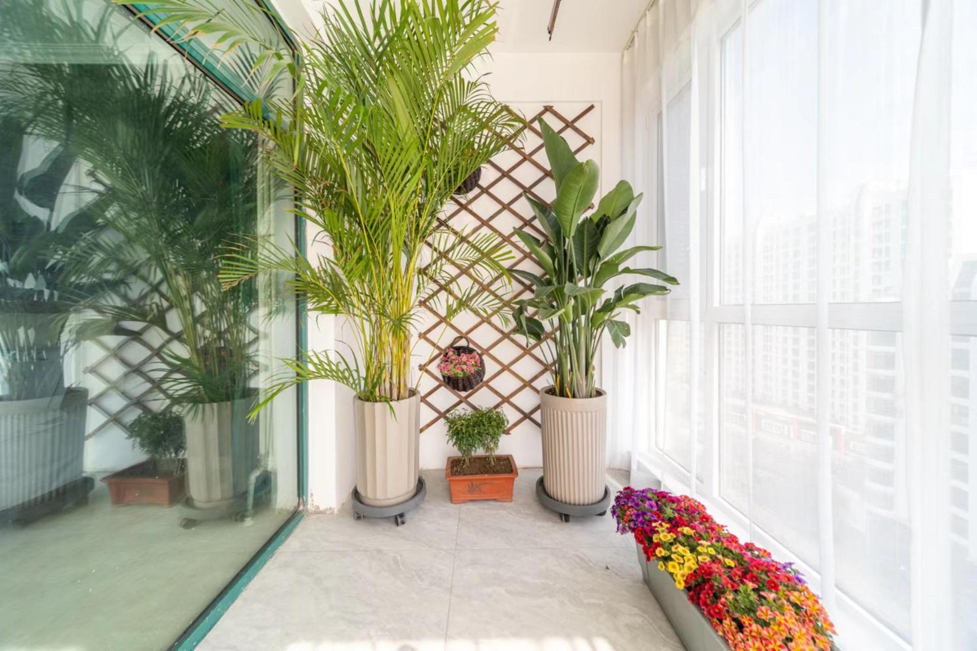 Cloud & Sea Boutique Apartment