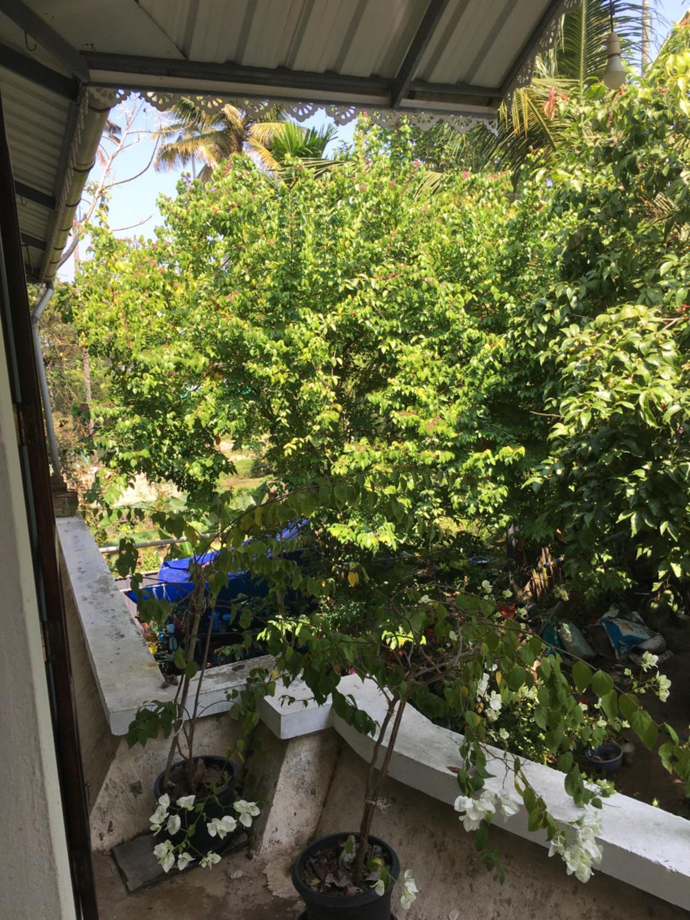 Marari Garden Homestay (Ithal Gardens) view 4