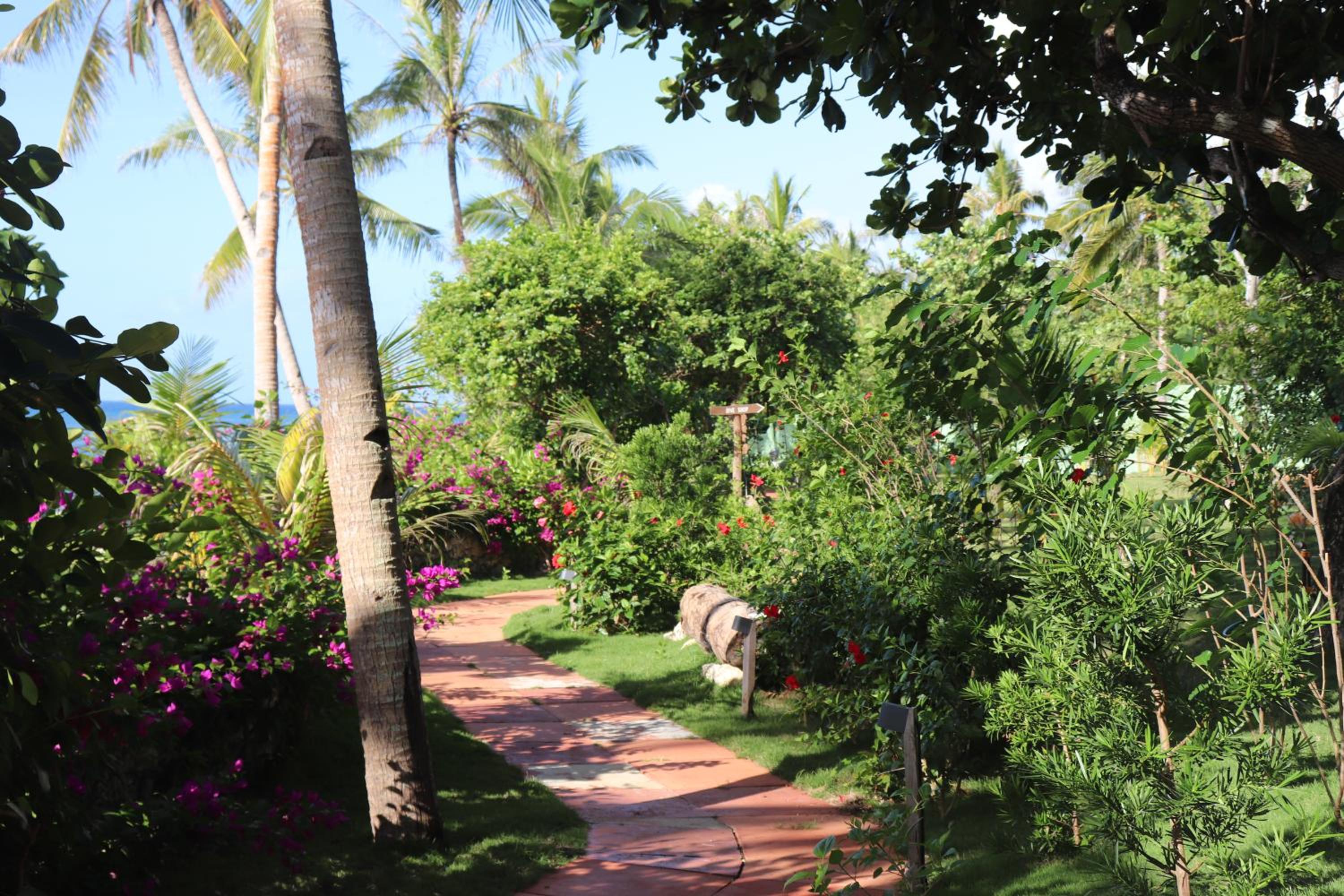 Island View Beachfront Resort