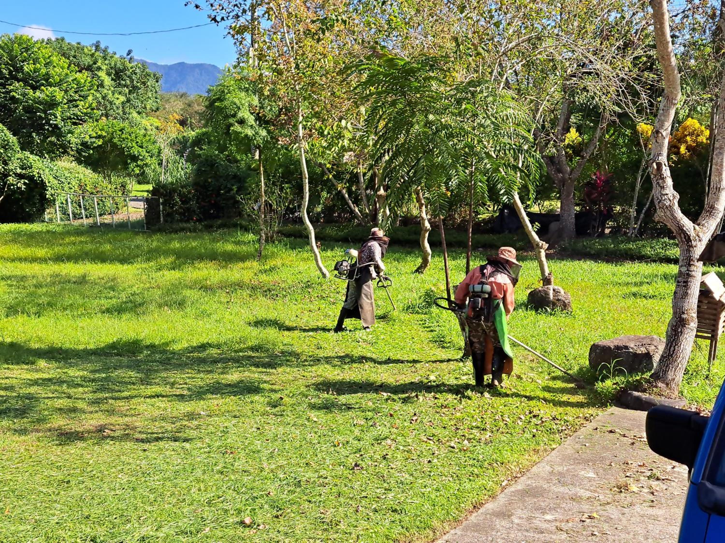 Green Forest Homestay view 4