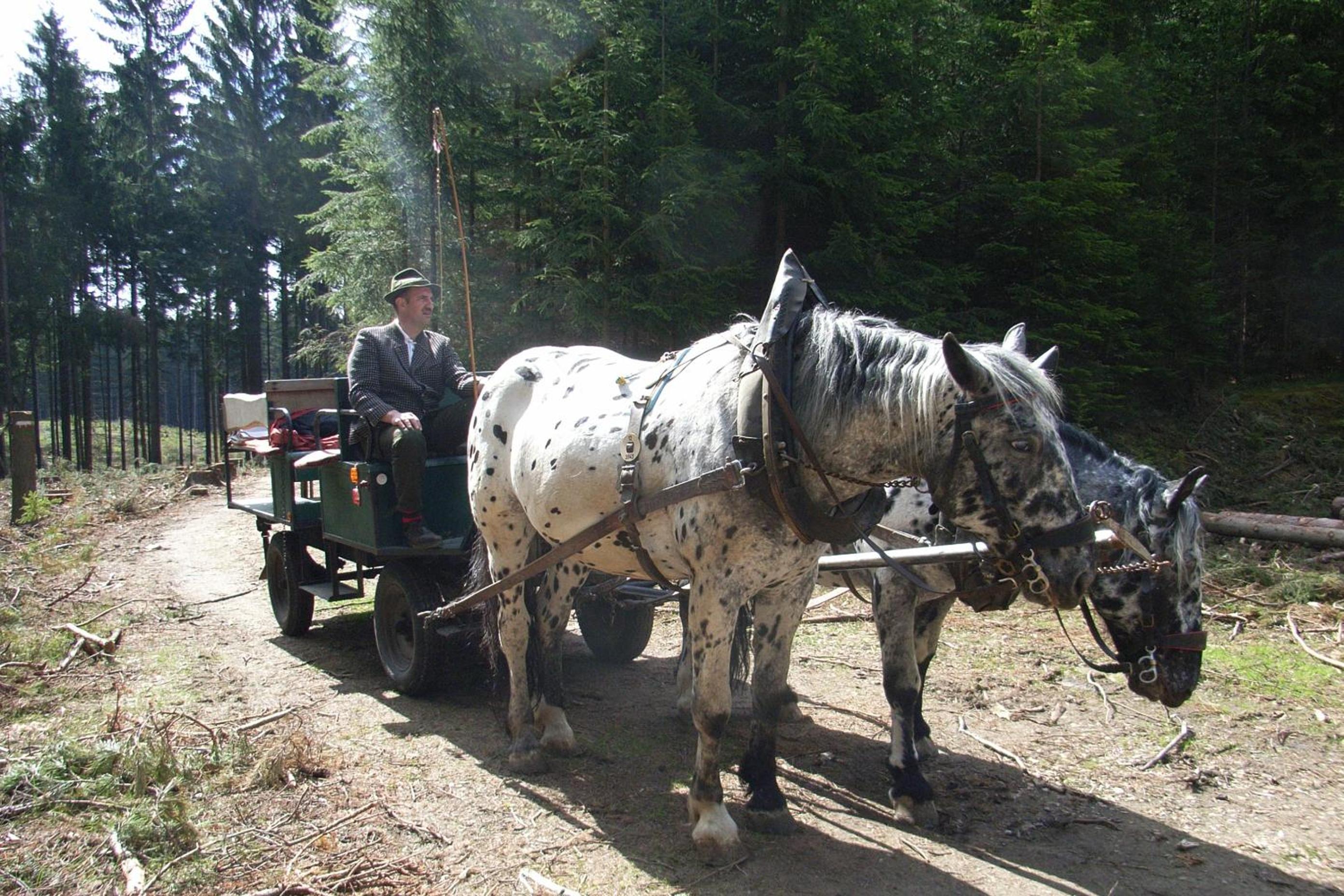Pension & Reitstall Inghofer