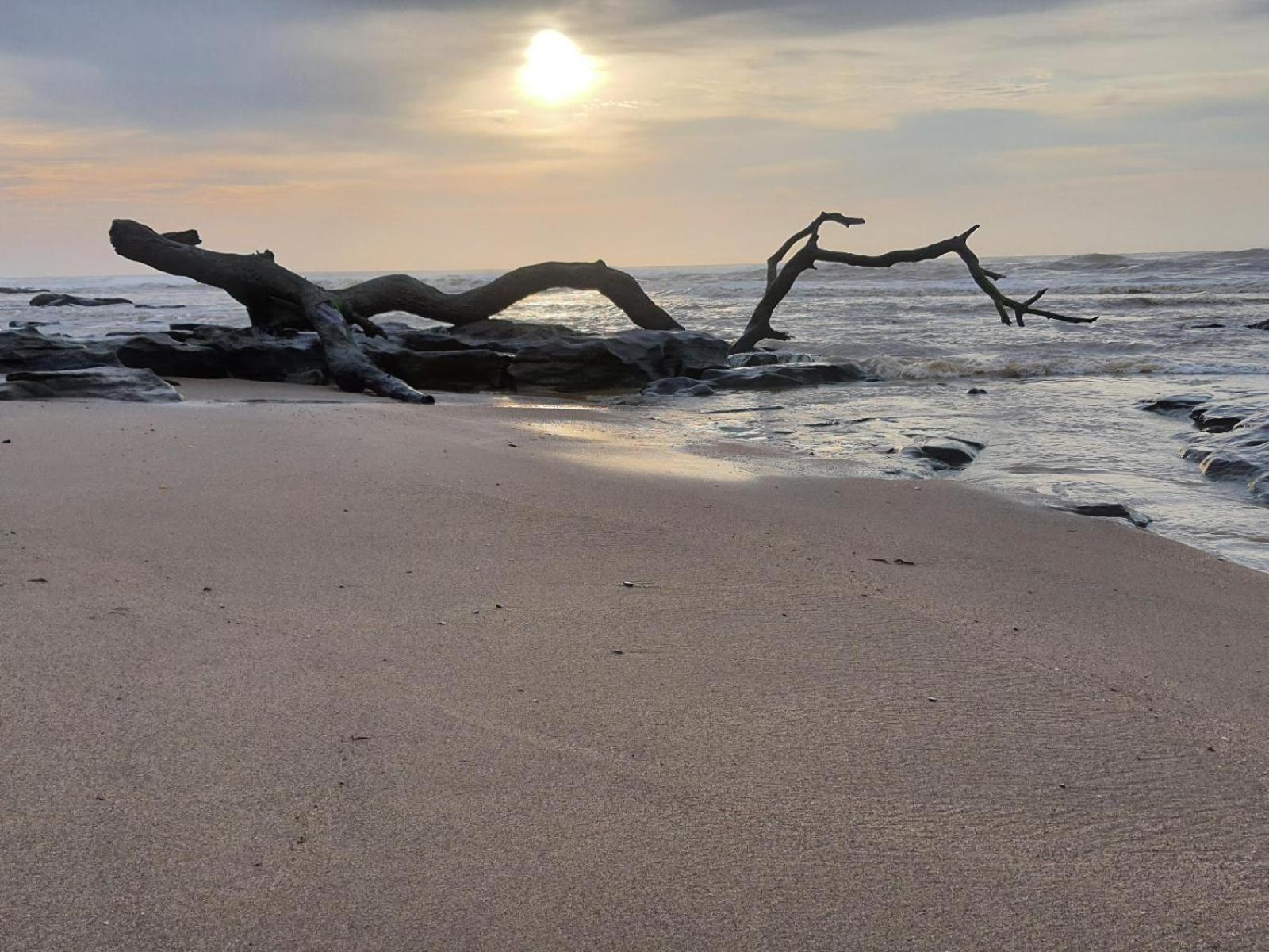 Driftwood Chalets