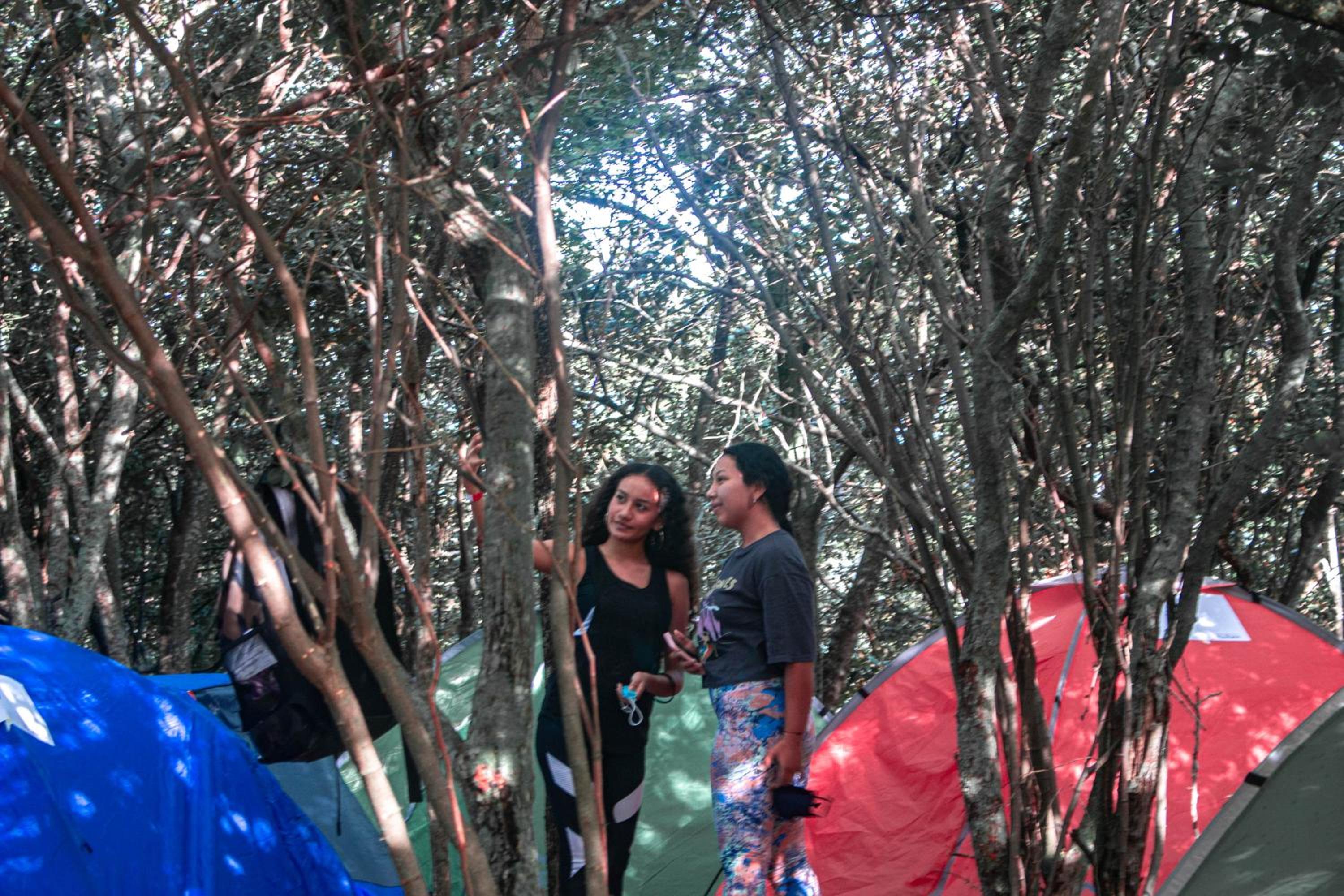 Alquiler de camping