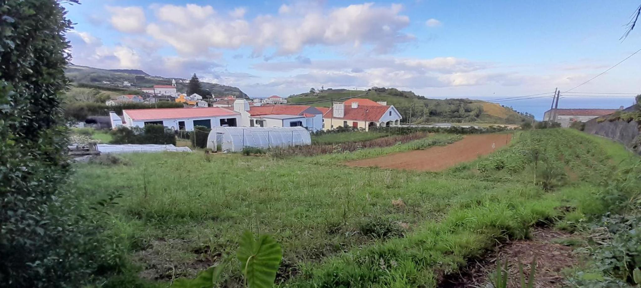 Casa L&M - Refúgio com Horta Biológica Certificada view 2