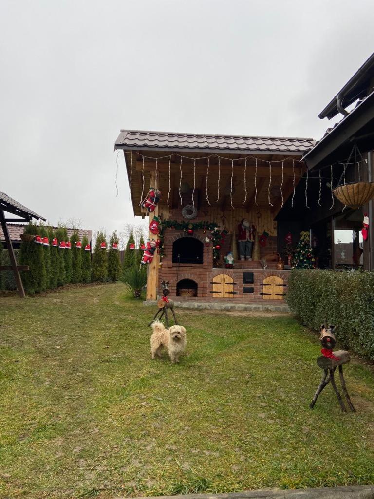 Casa Sima view 2