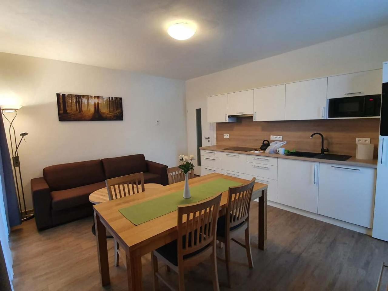 Apartmán Praděd v Říčkách - Říčky v Orlických horách