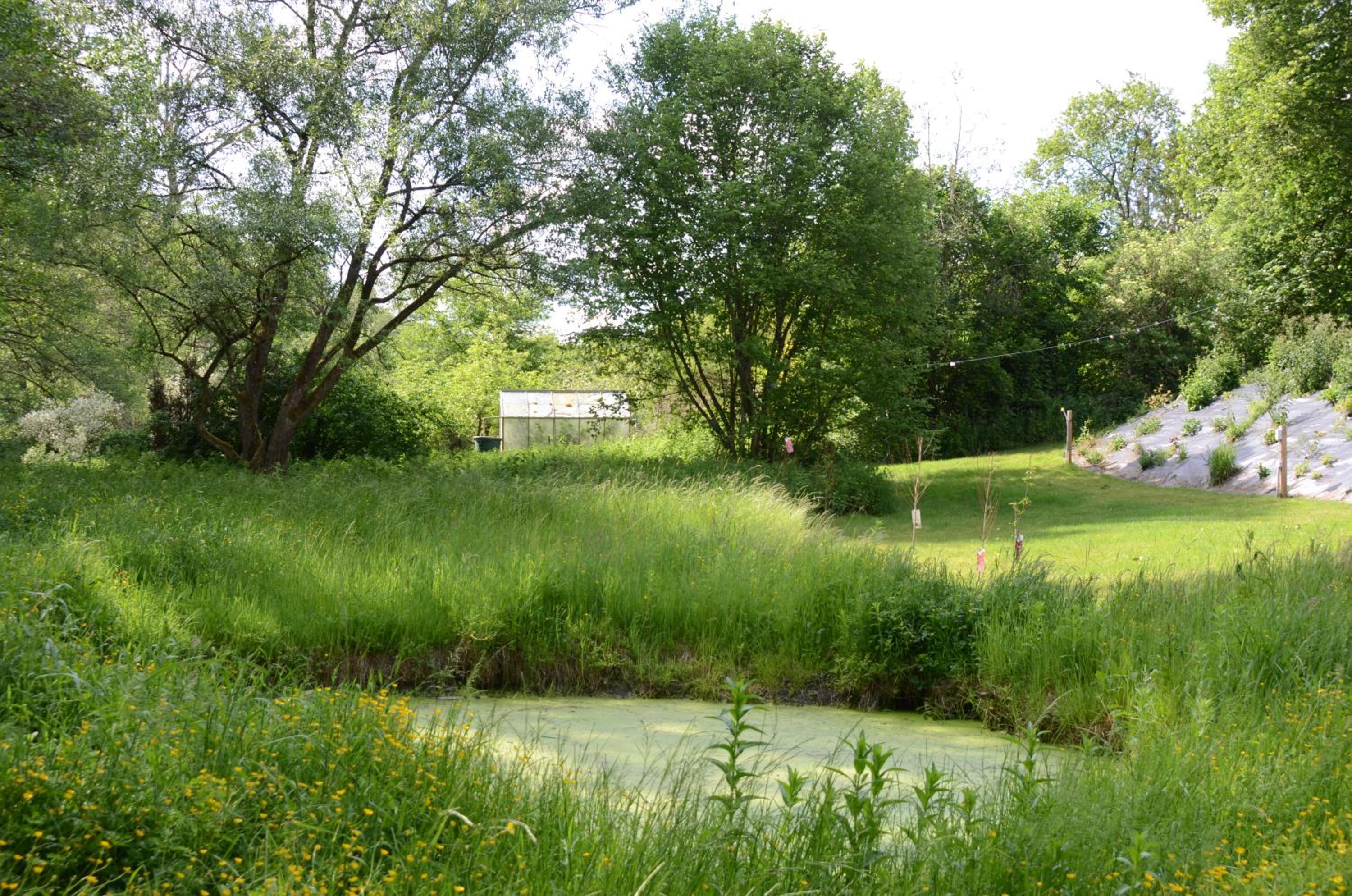 Rural stay for 9-guests in Durbuy