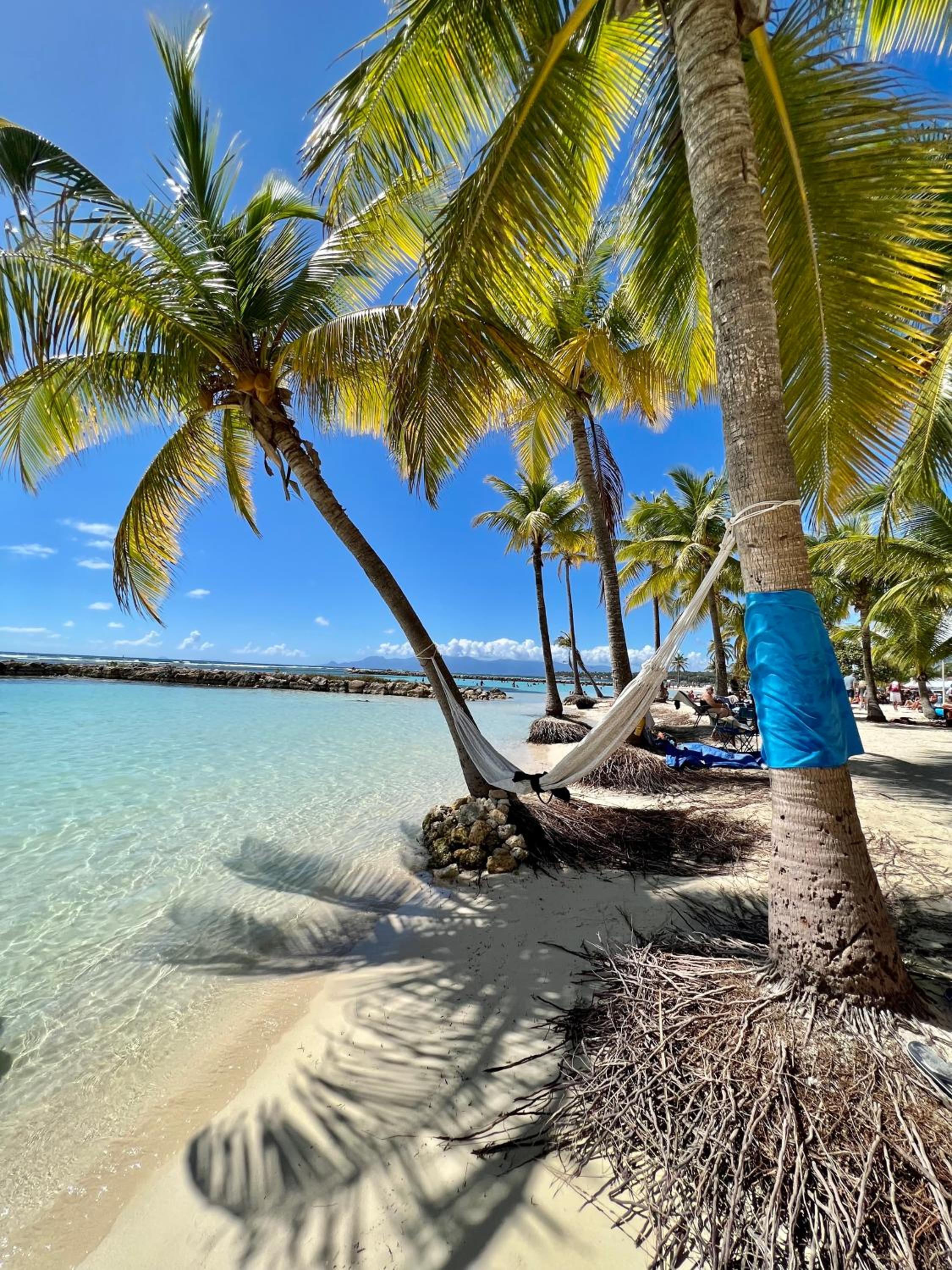 Photo 68