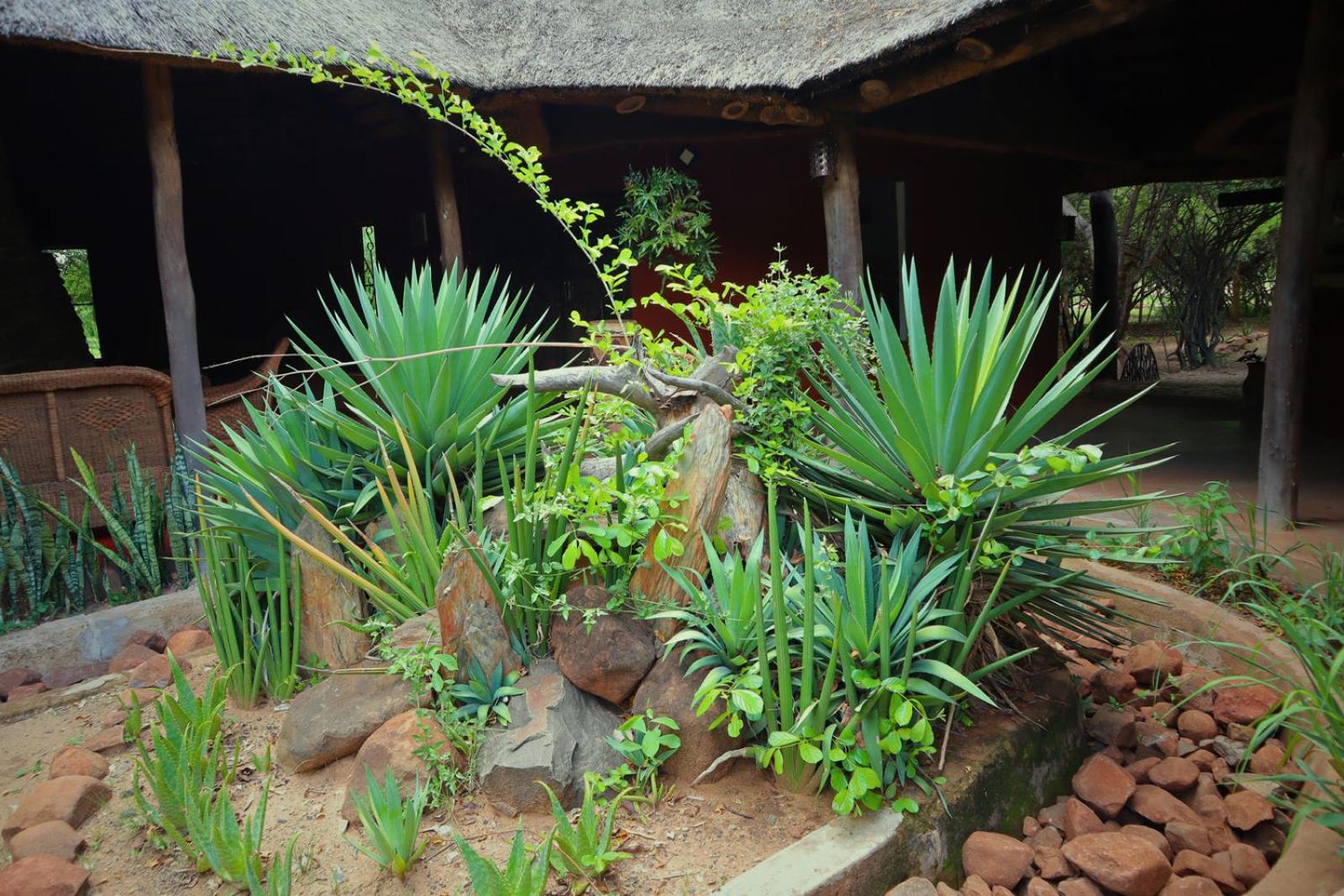 Munga Eco-Lodge