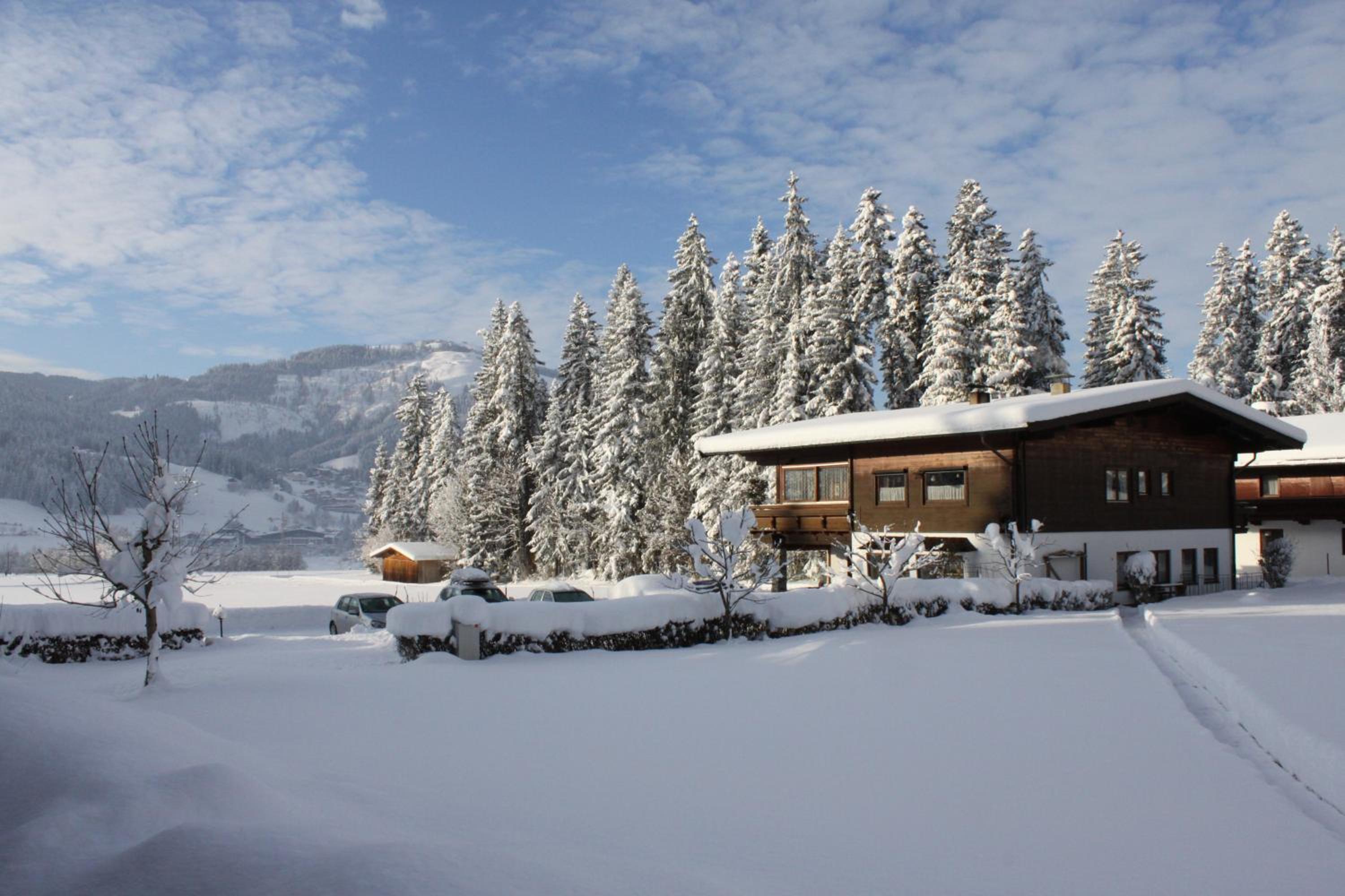 otto steiner appartements pension ellmau & wilder kaiser