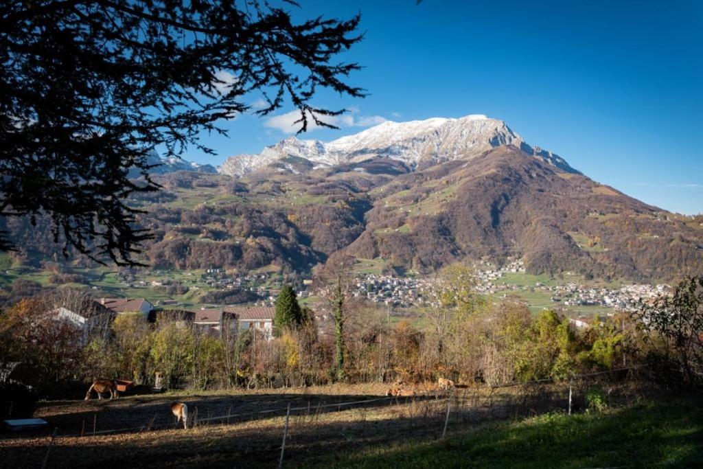 B&B Villa Cavallier