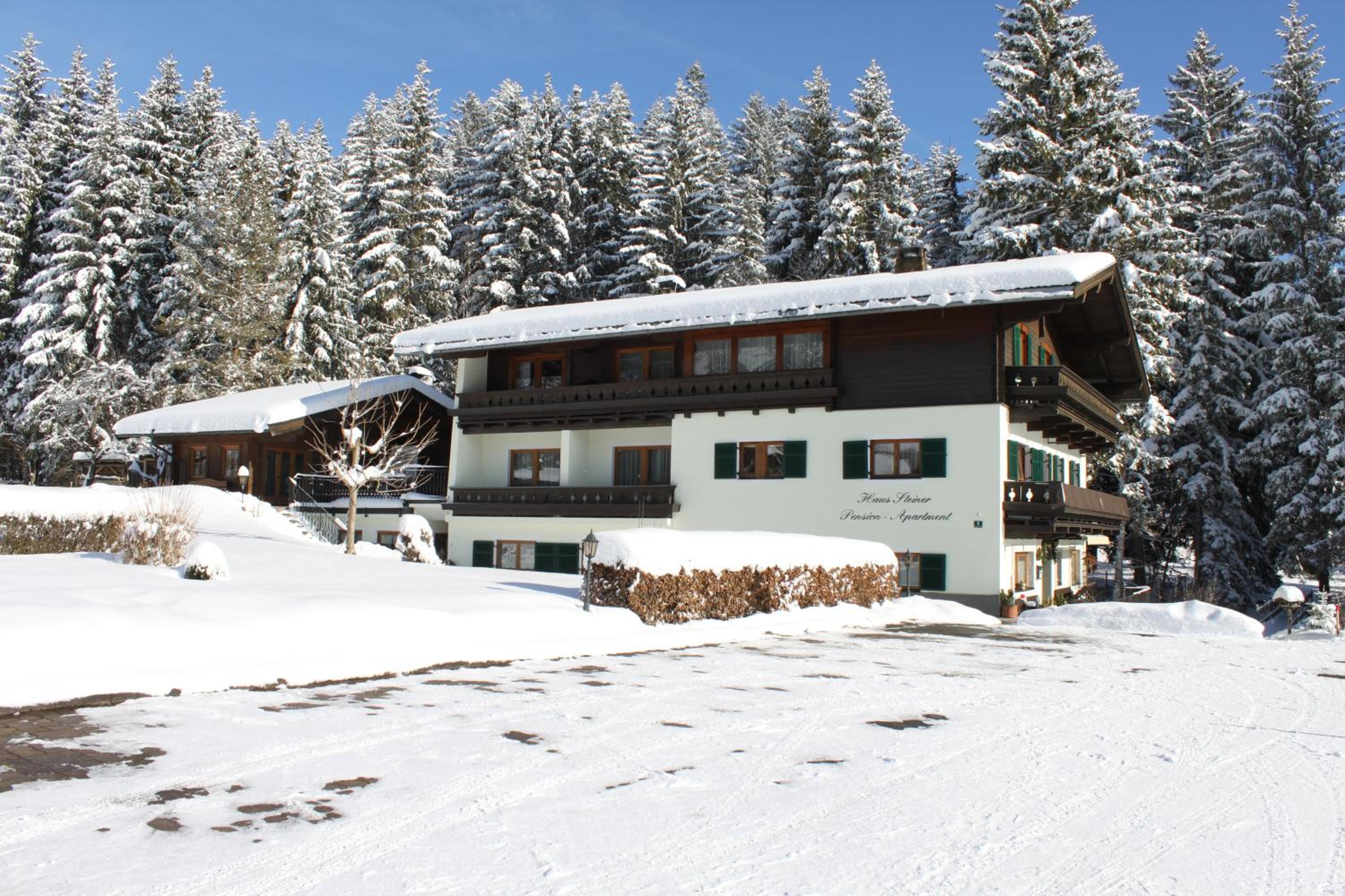 otto steiner appartements pension ellmau & wilder kaiser