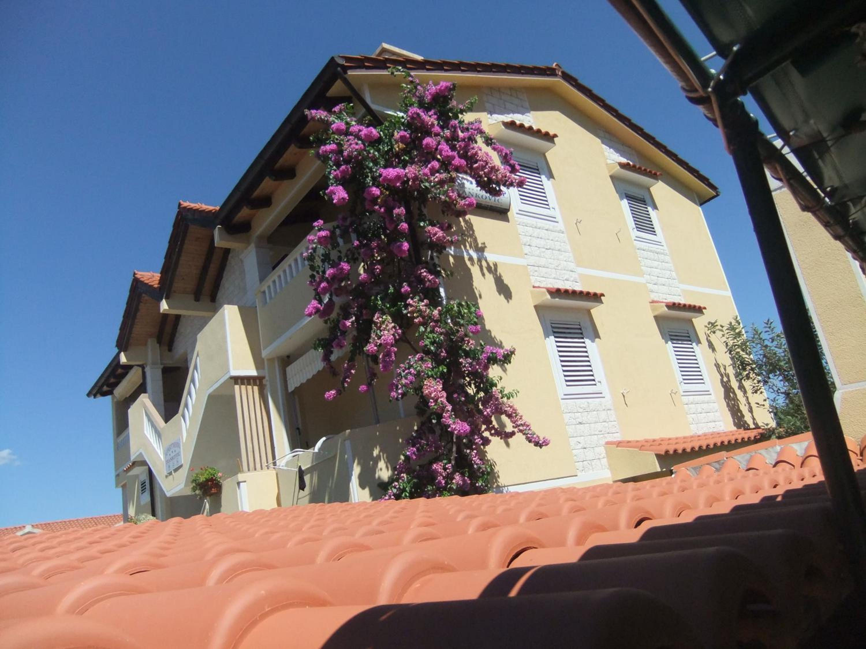 Apartments Ivanković