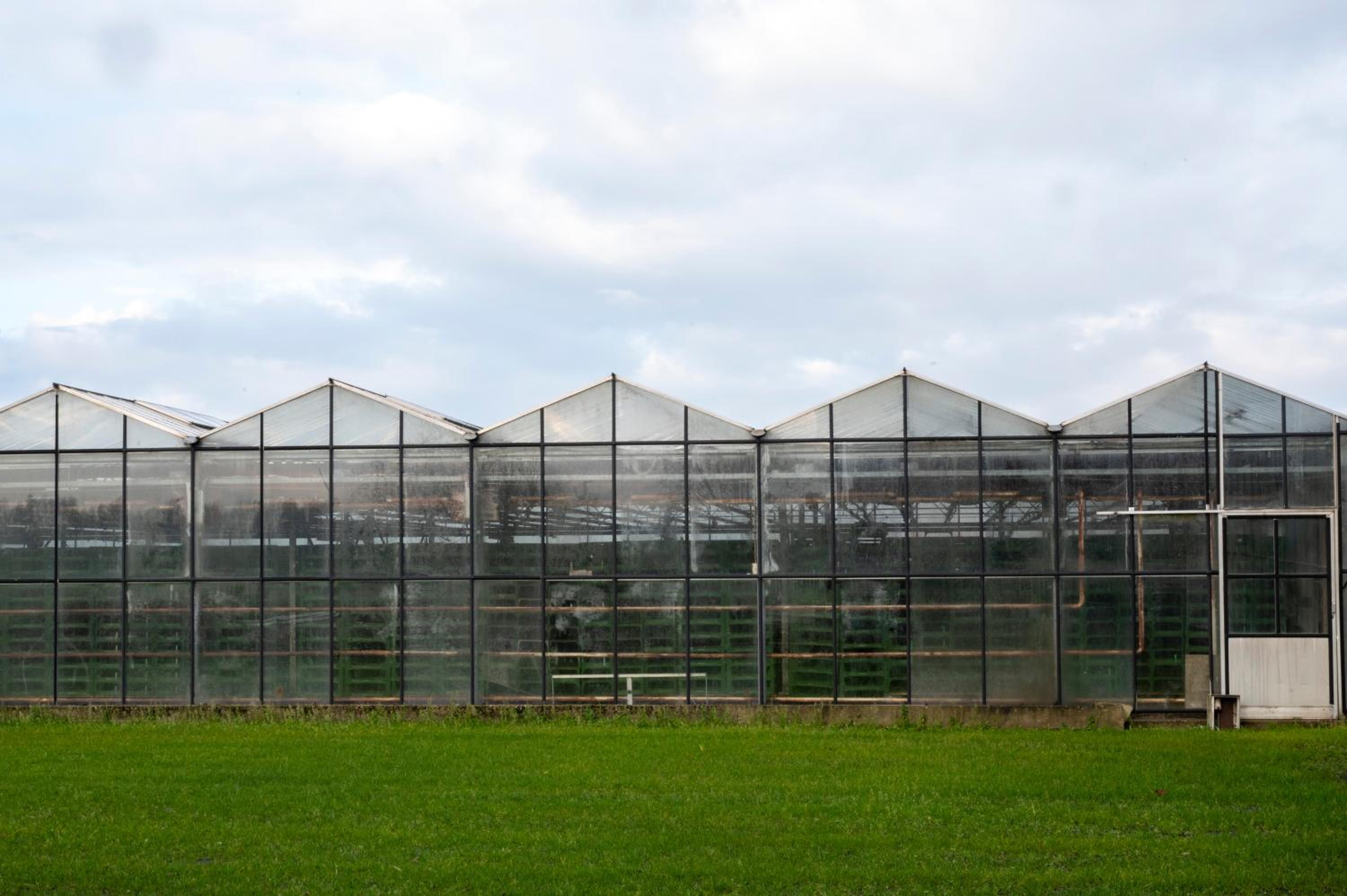 5 persons Holiday Home Comfort - Property Image 34