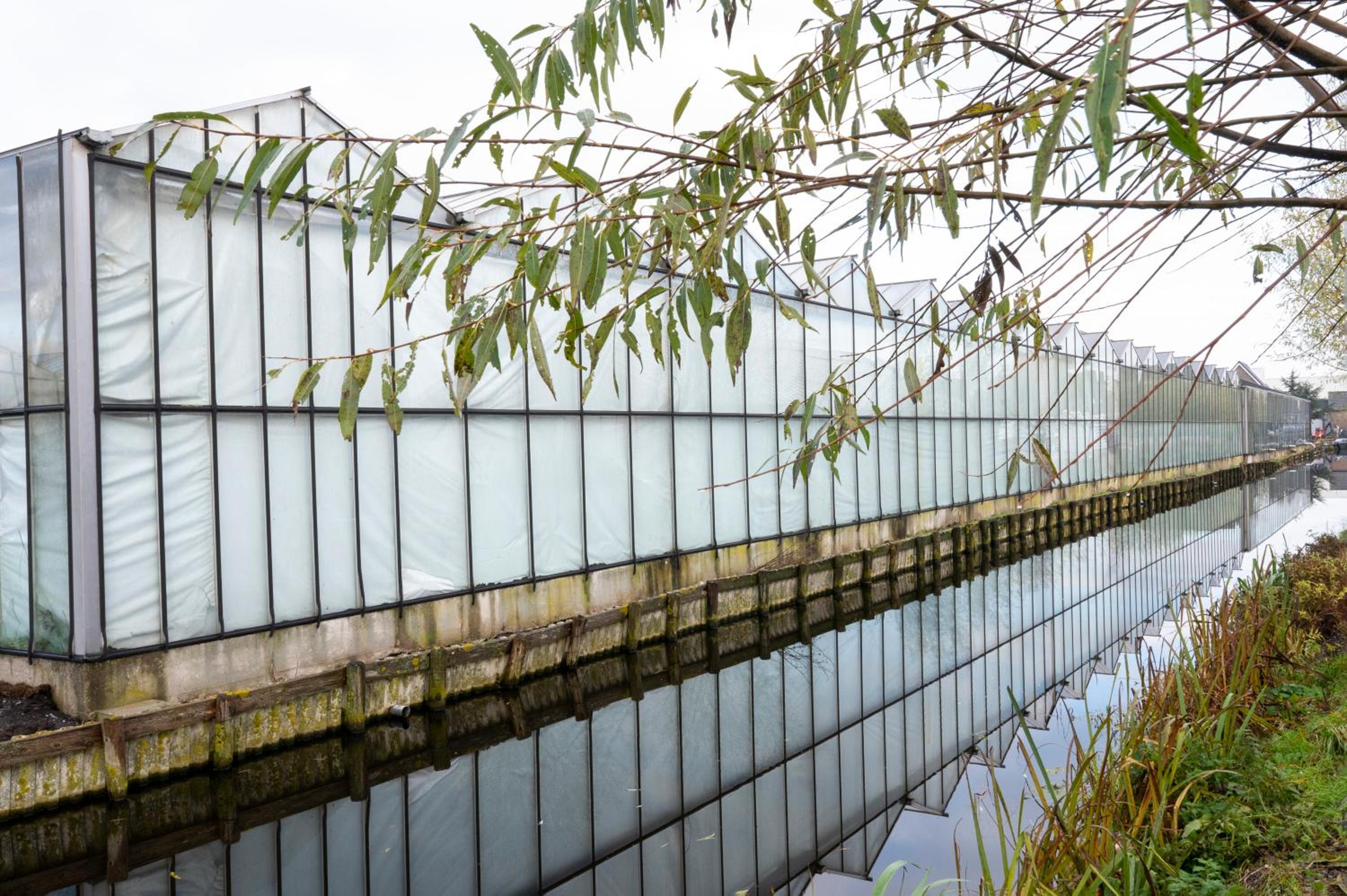 5 persons Holiday Home Comfort - Property Image 35