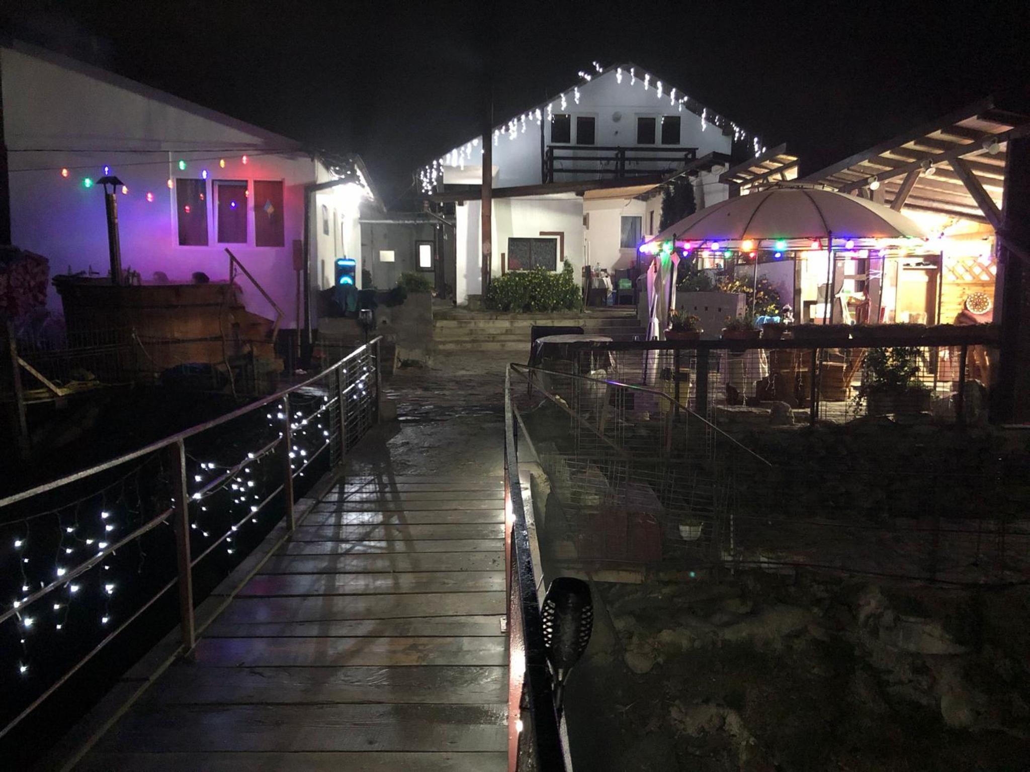 Photo 115