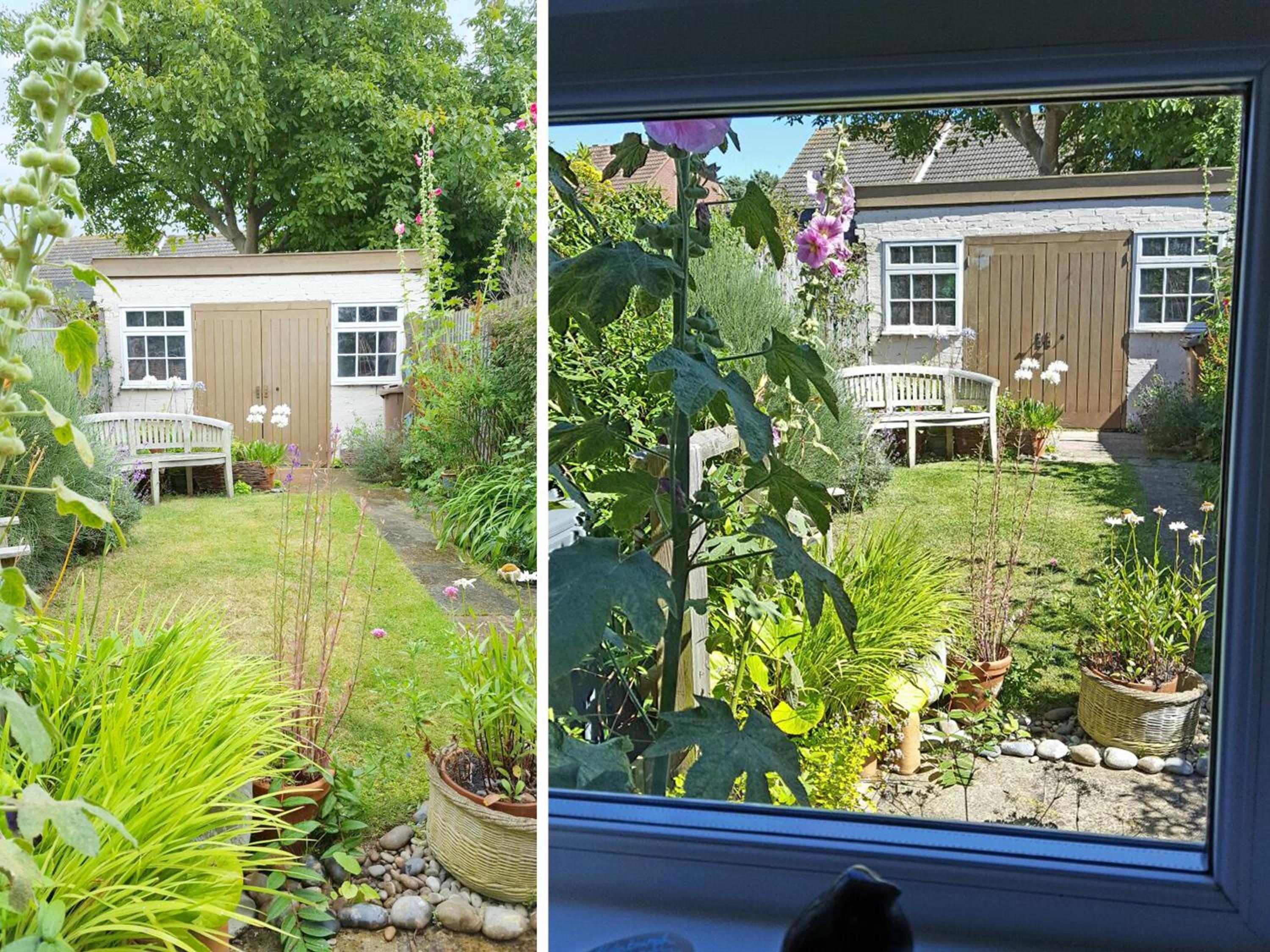 Walnut Cottage