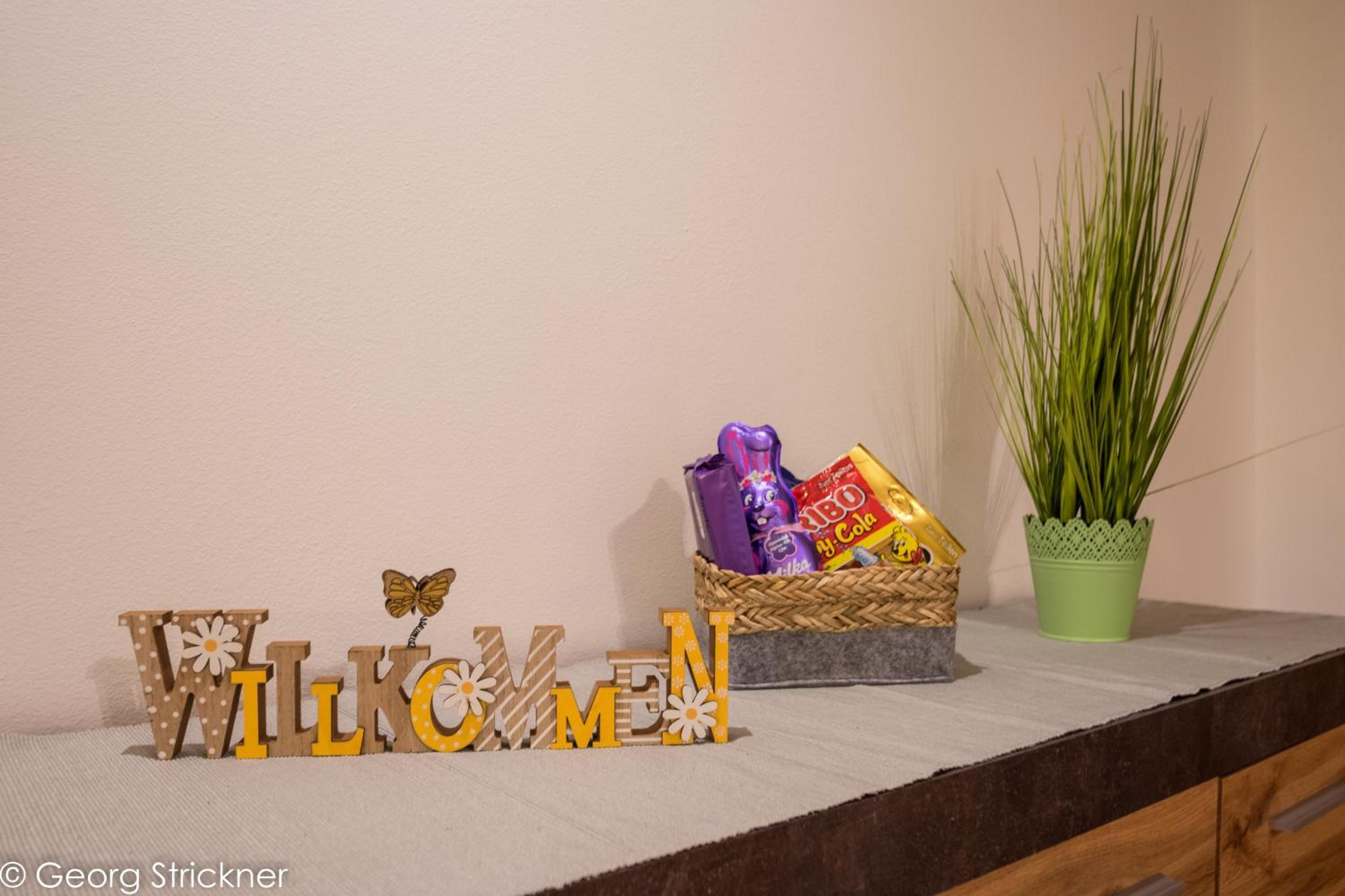 Ferienwohnung Strickner