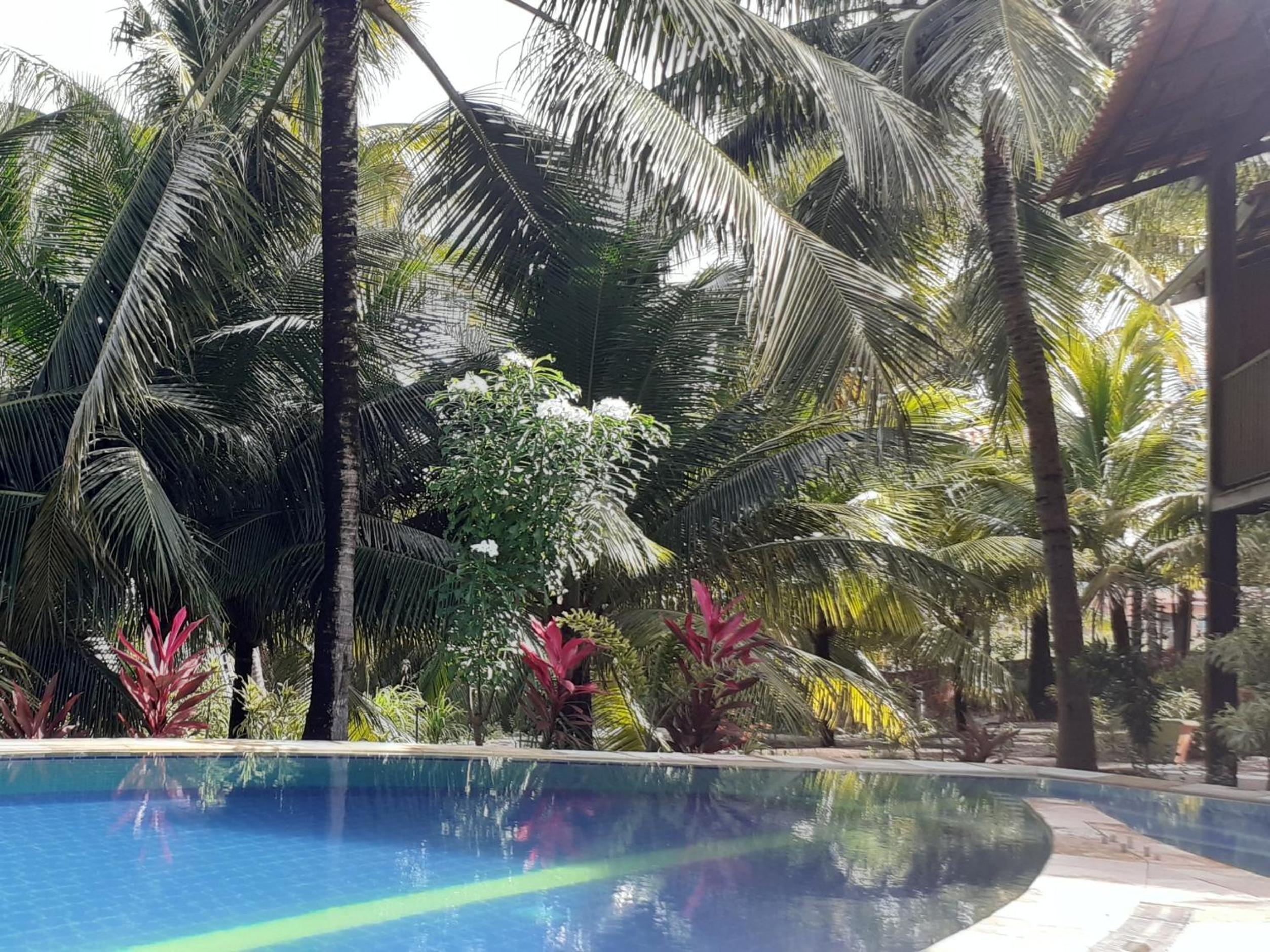 Ecolodge Batel Alagoas