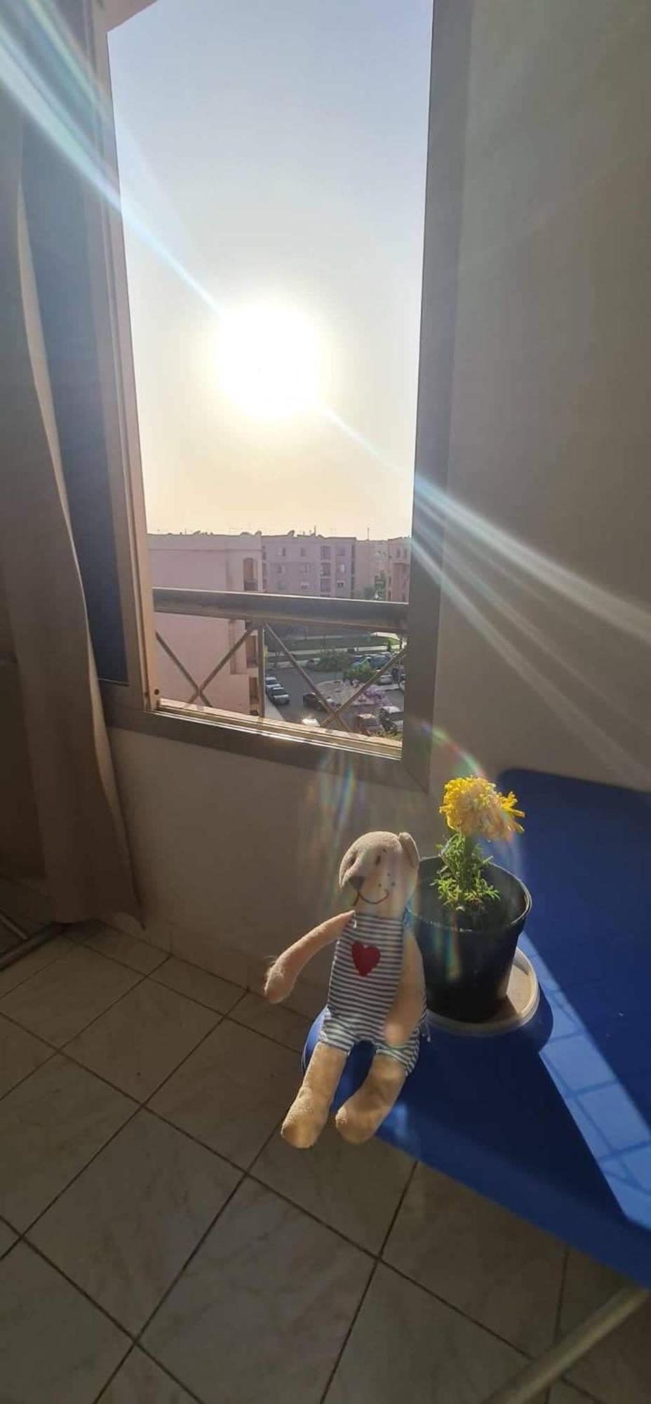 Single bedroom in a shared apartment Girls only hosting family