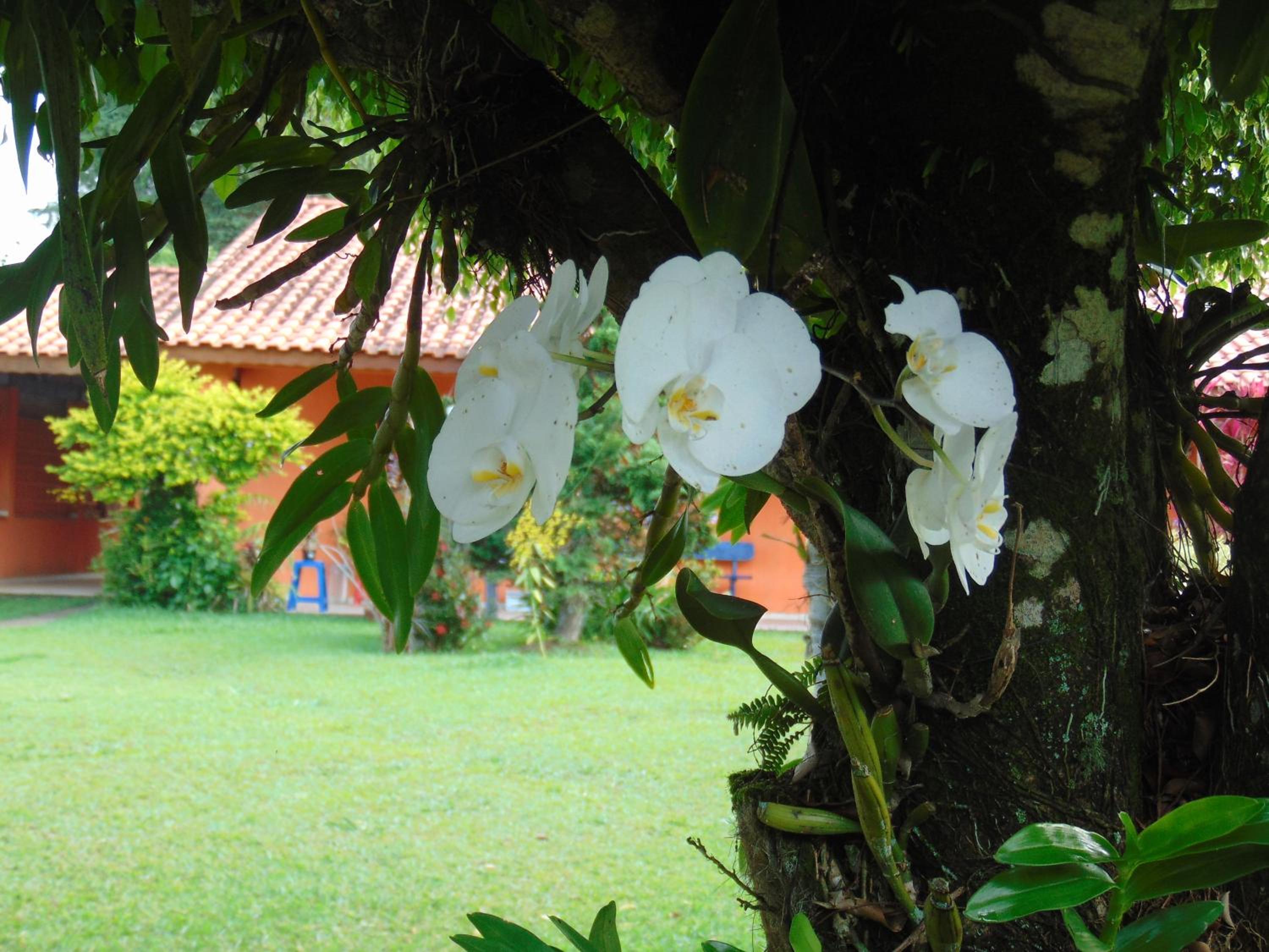Rancho do Colega